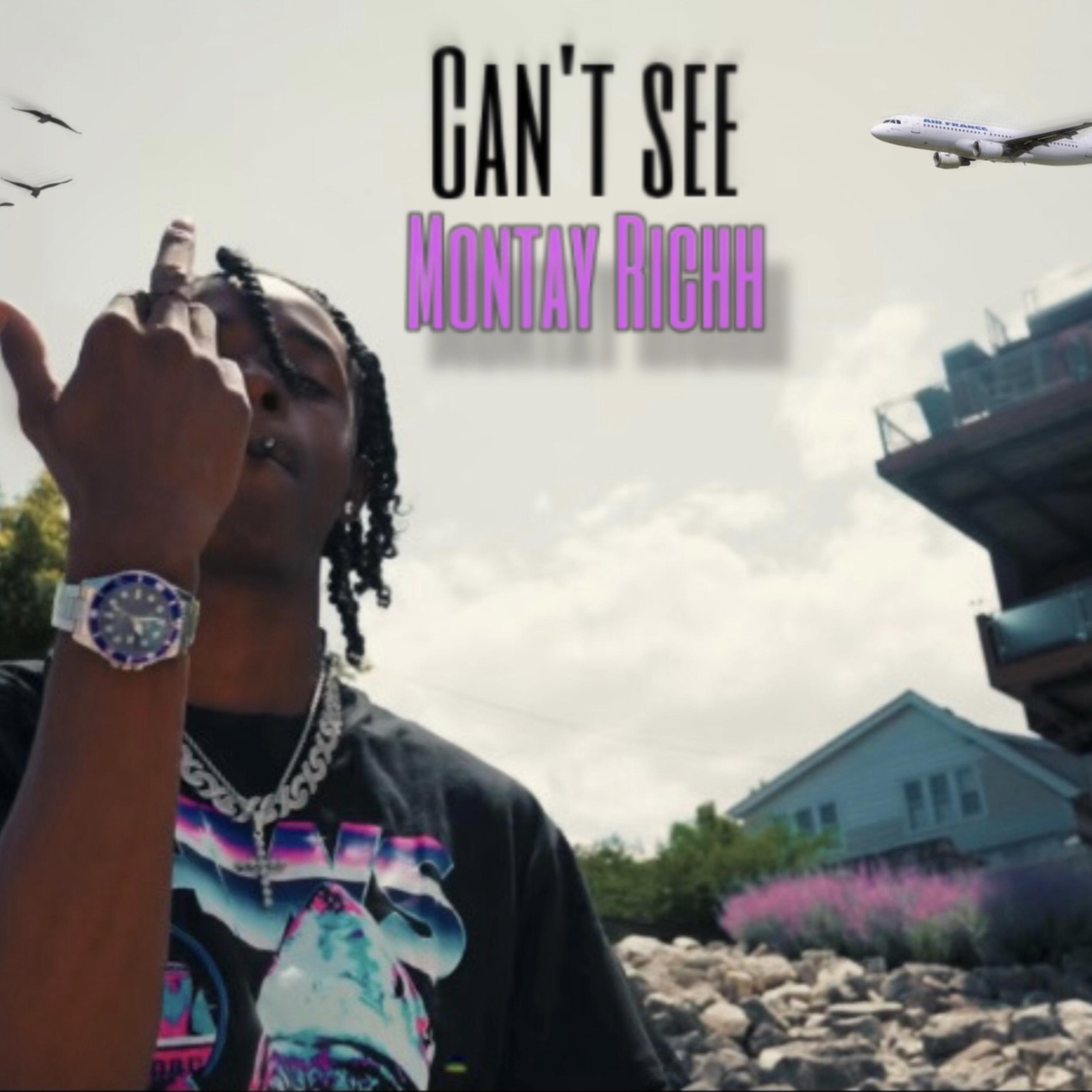 Can’t See artwork