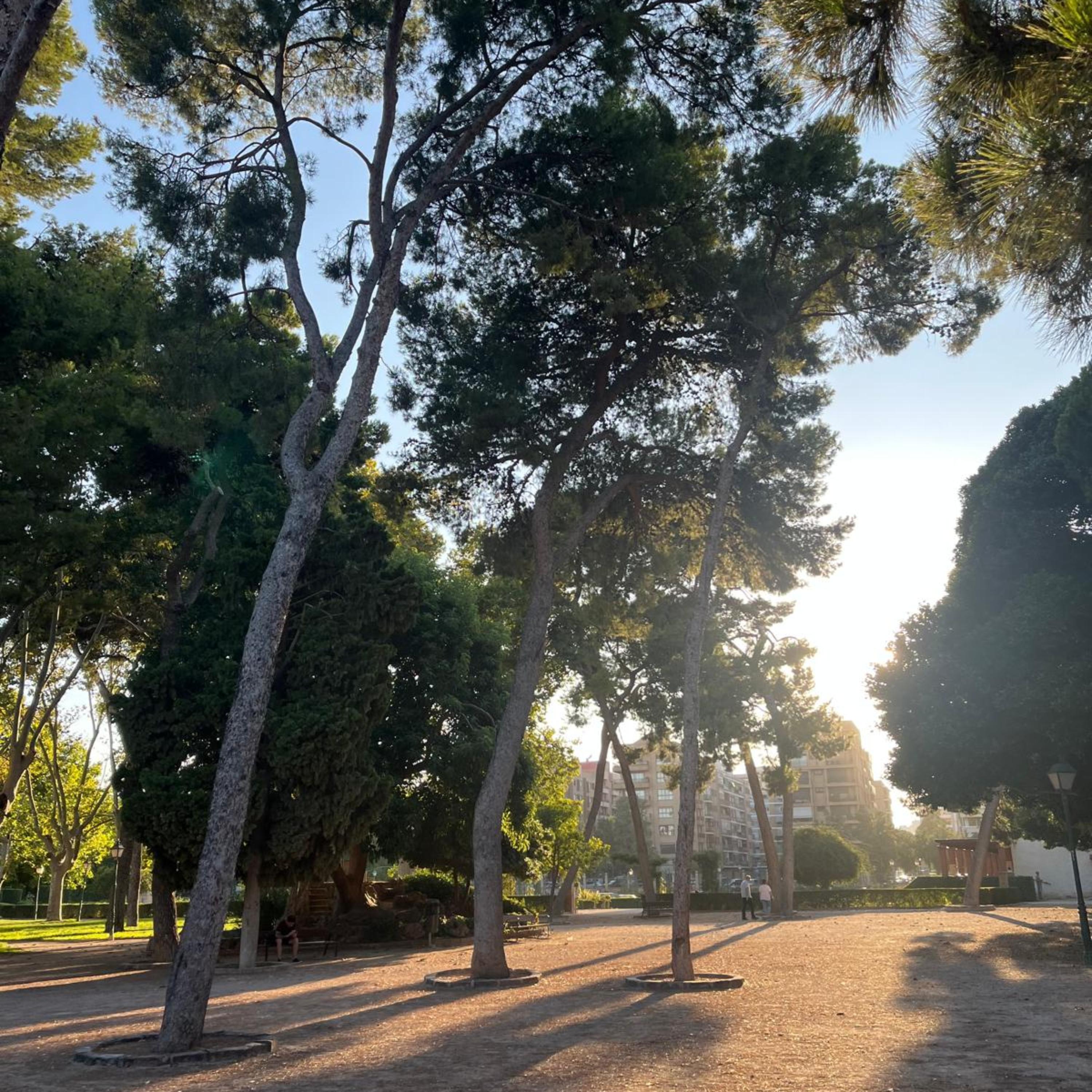 Música romántica latina artwork