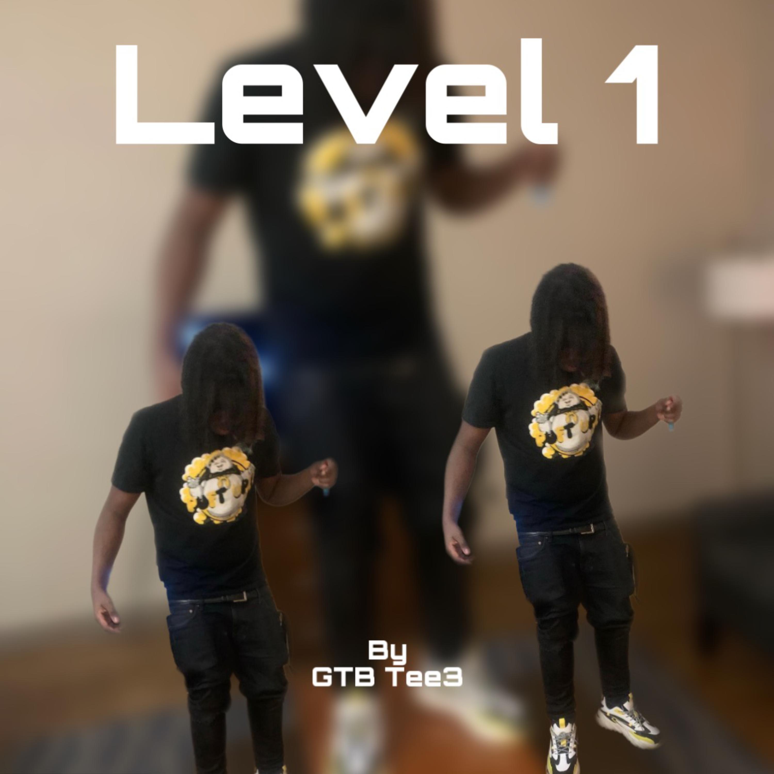 Level 1 artwork