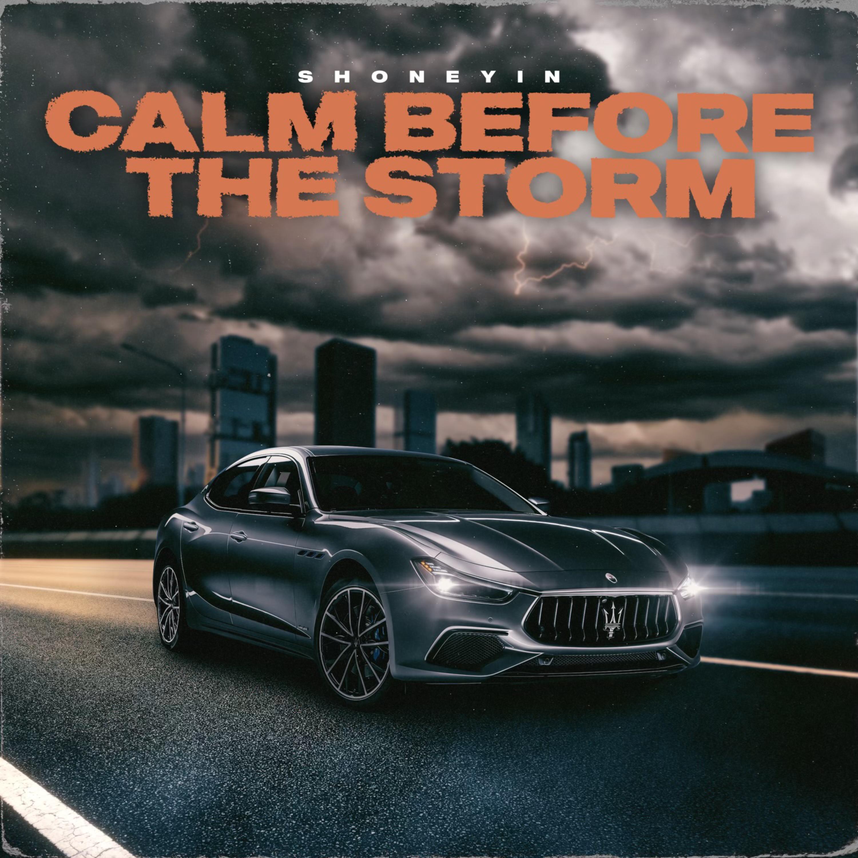 Calm Before The Storm artwork
