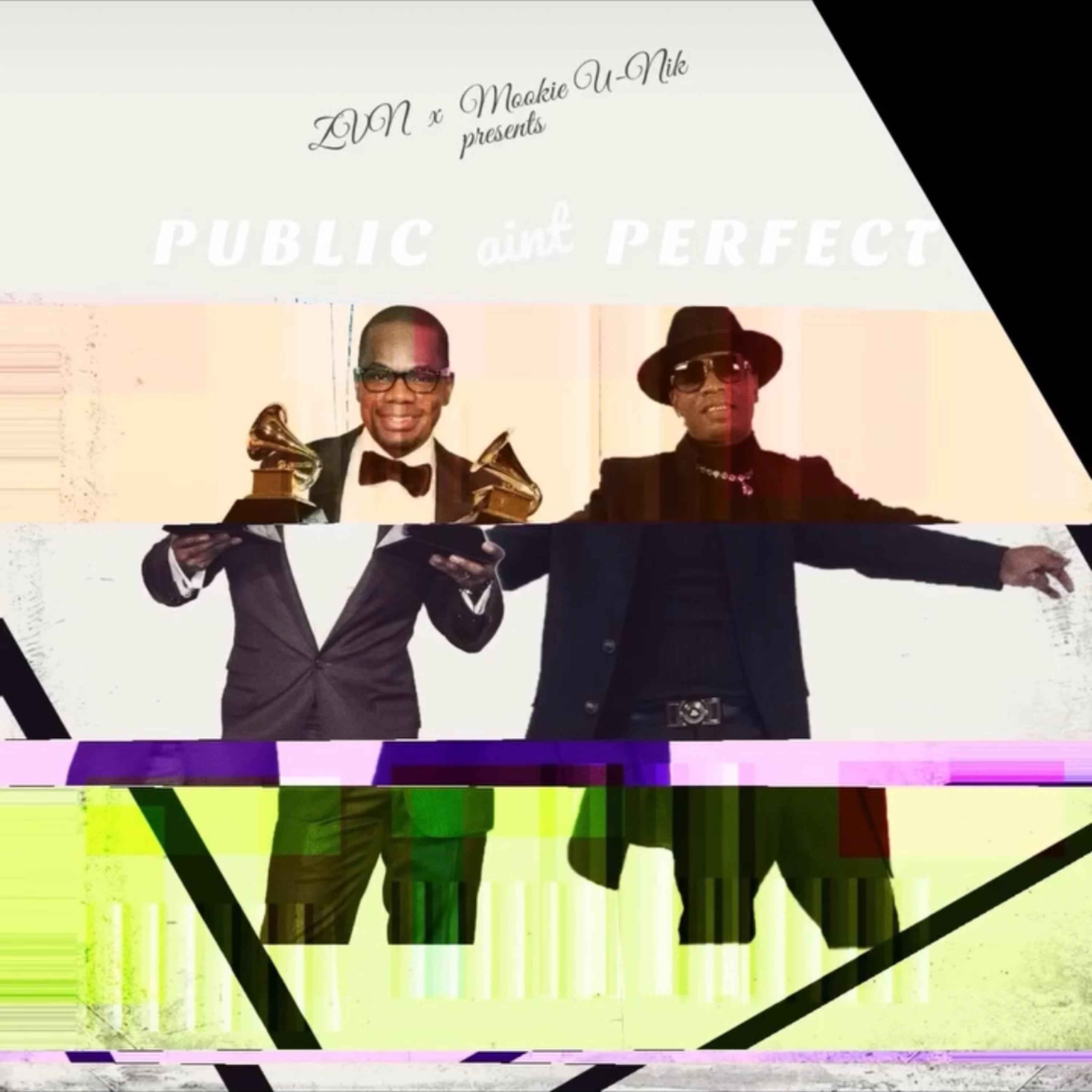 Public Ain’t Perfect by ZVN cover art