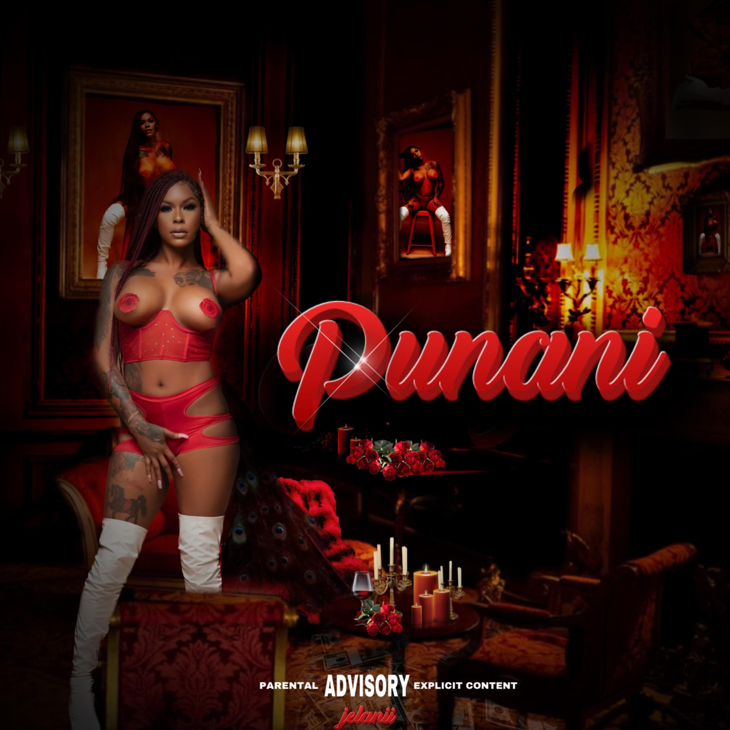 Punani artwork