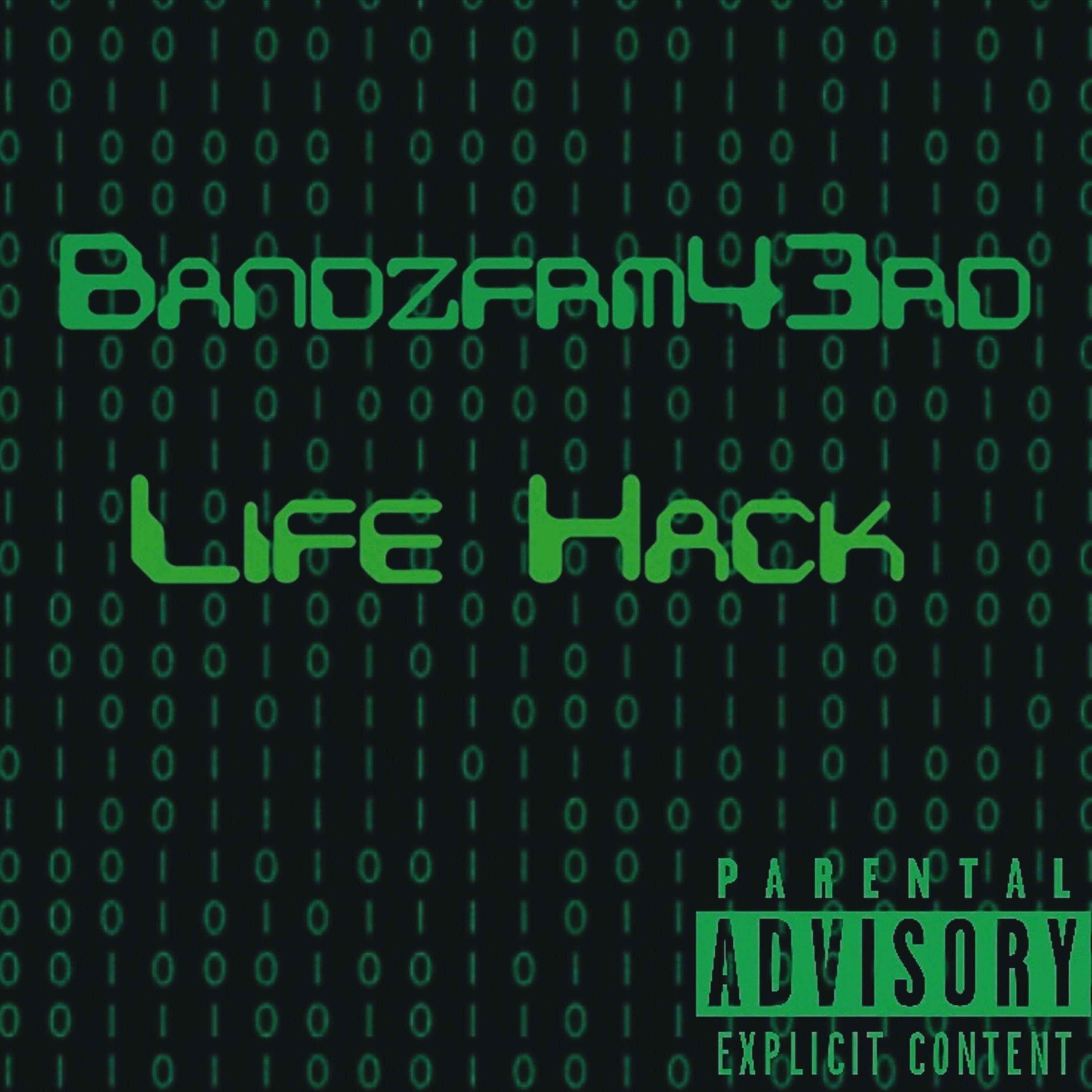 Life Hack artwork