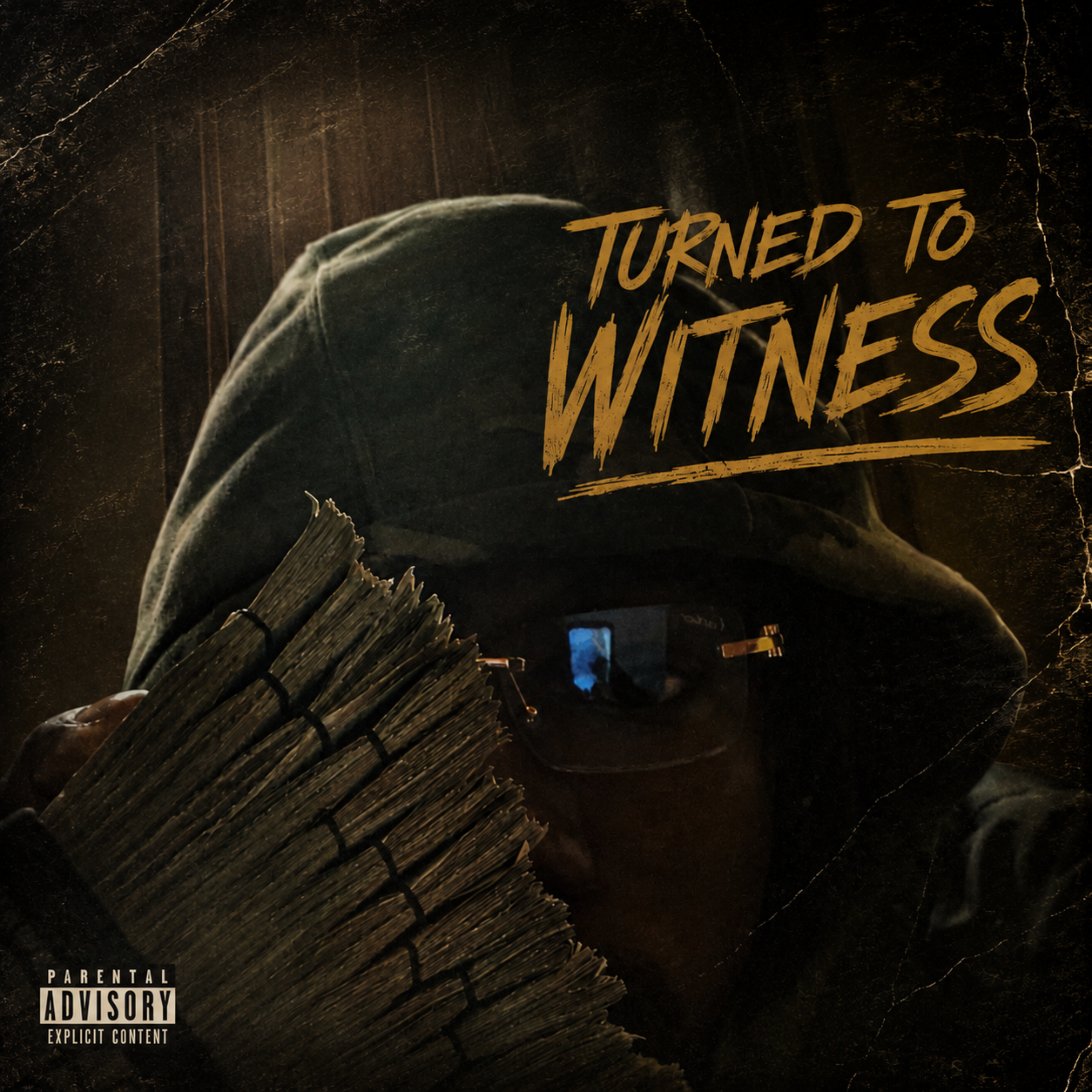 Turned To Witness by Ang khi P cover art