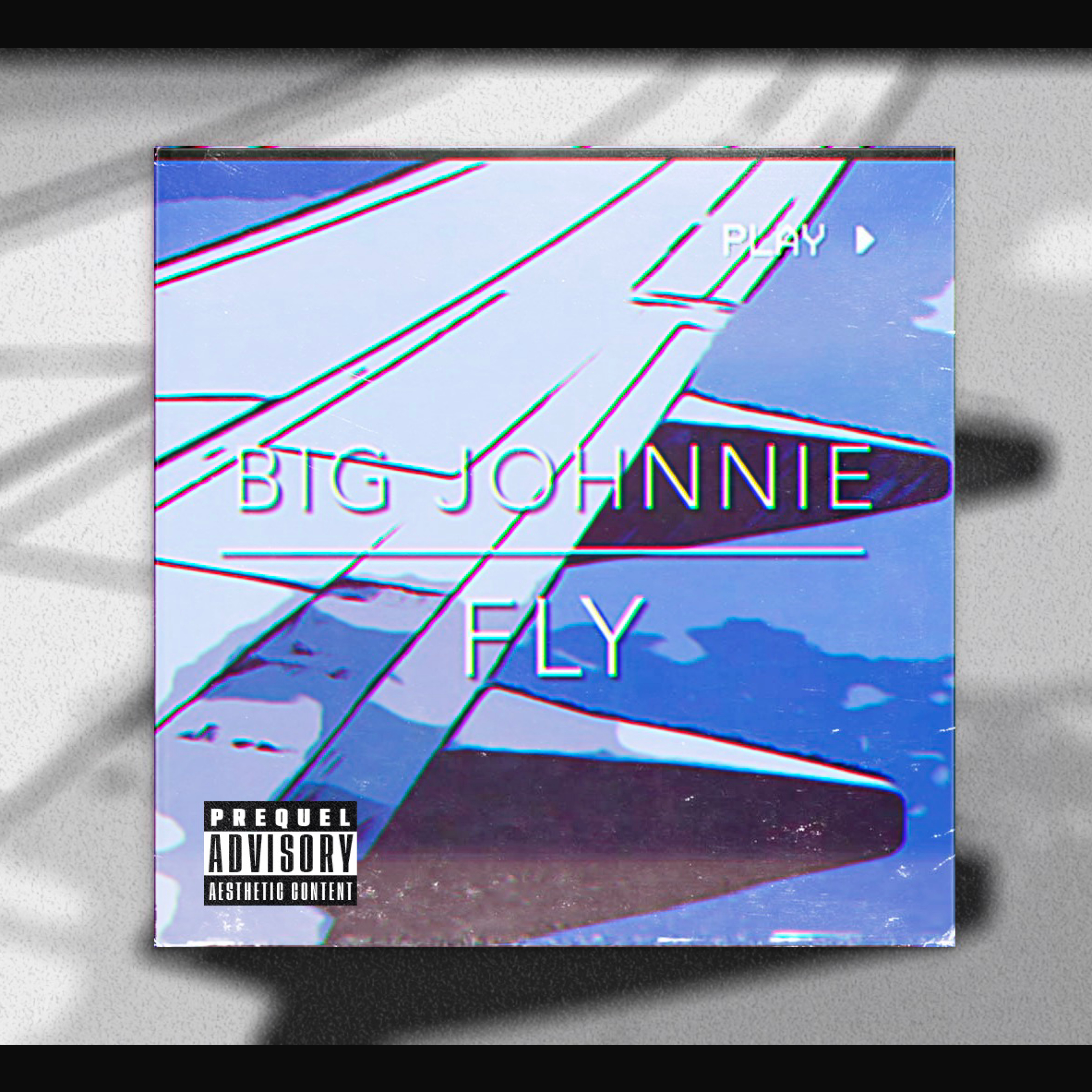 Fly artwork