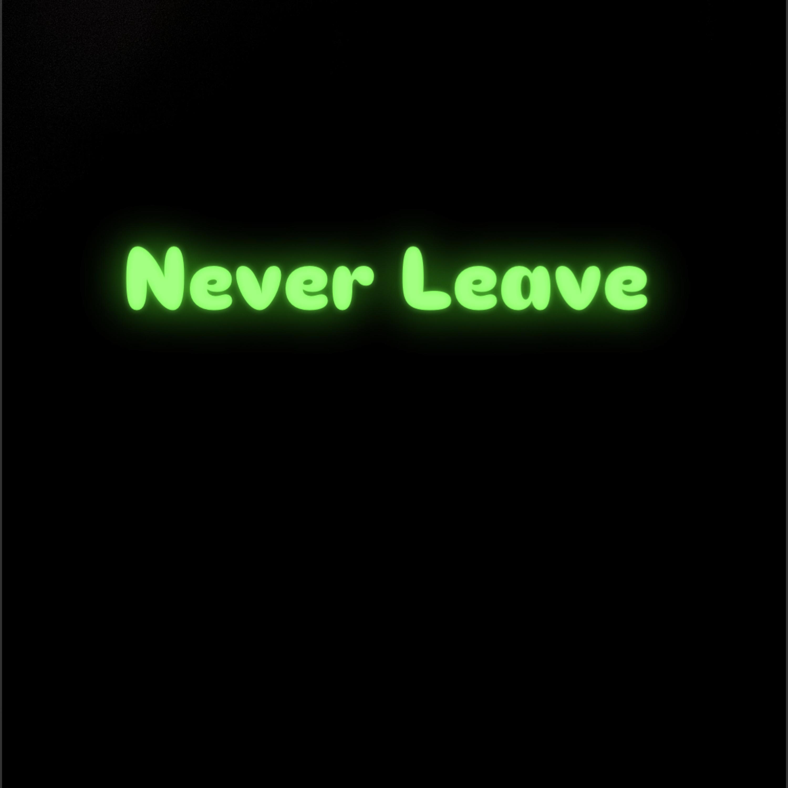 Never Leave artwork