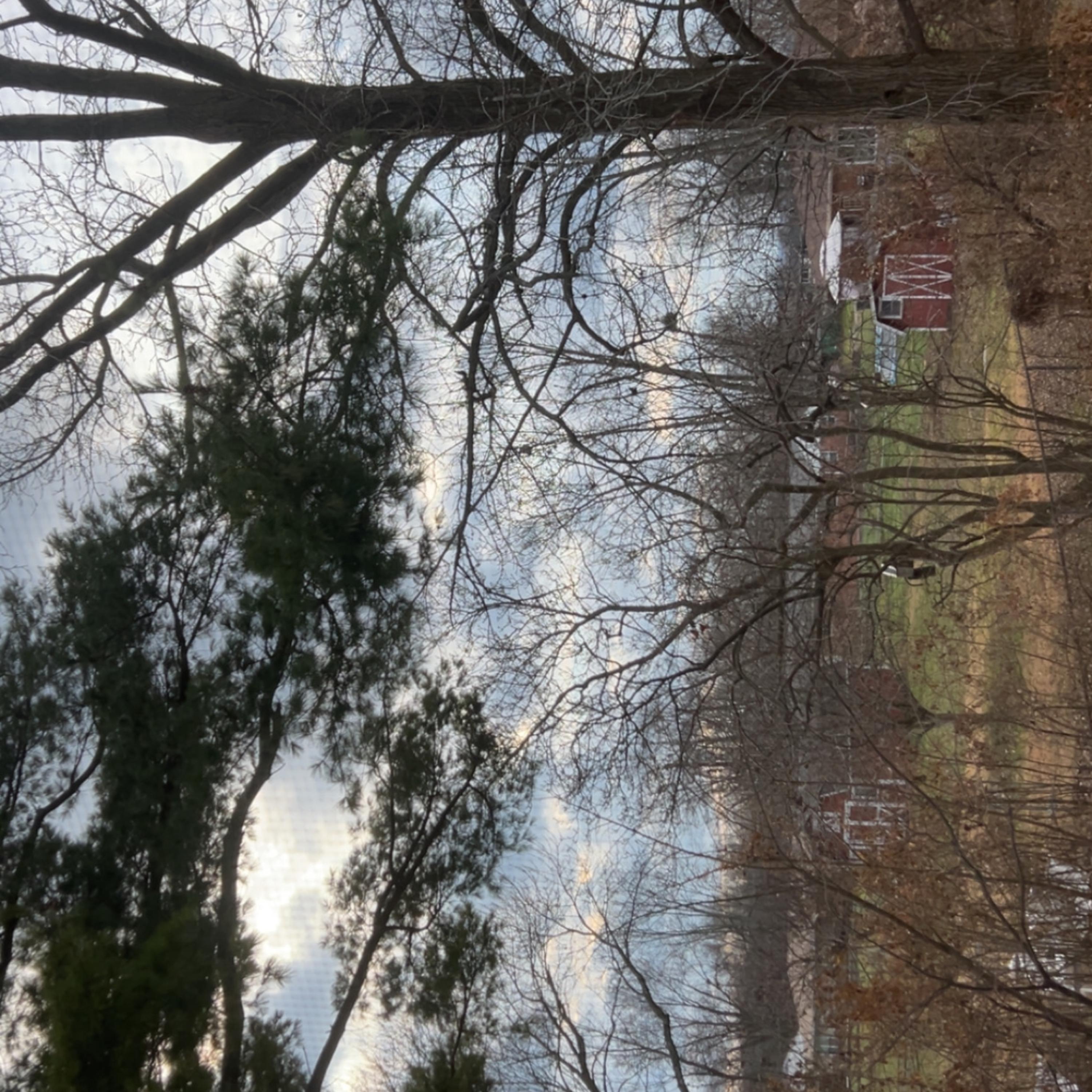 CUTELIKEJADA artwork