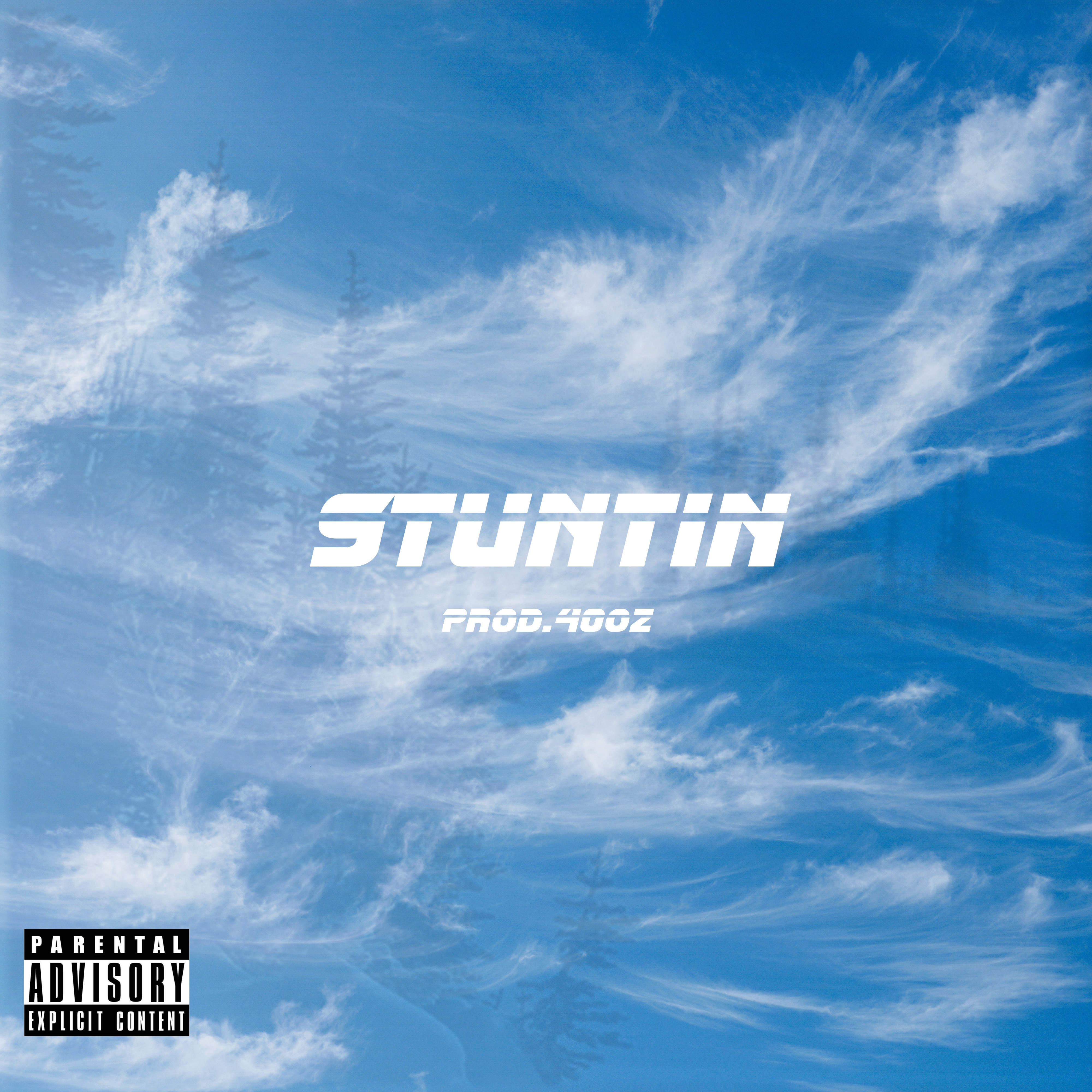 Stuntin artwork