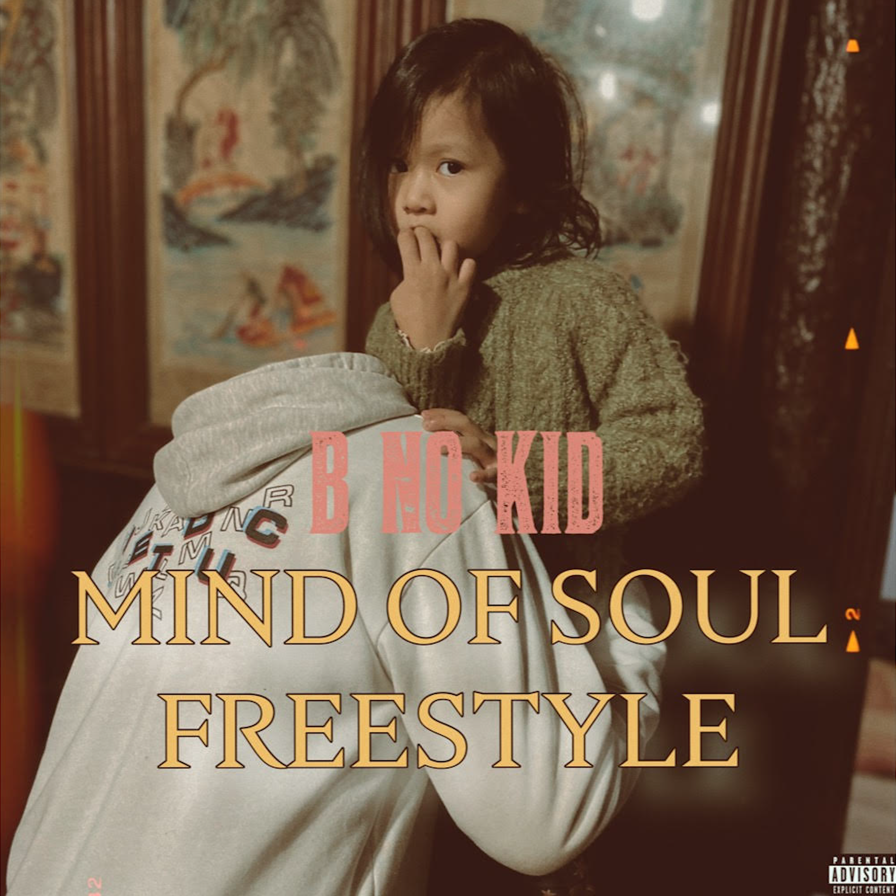 Mind Of Soul Freestyle artwork