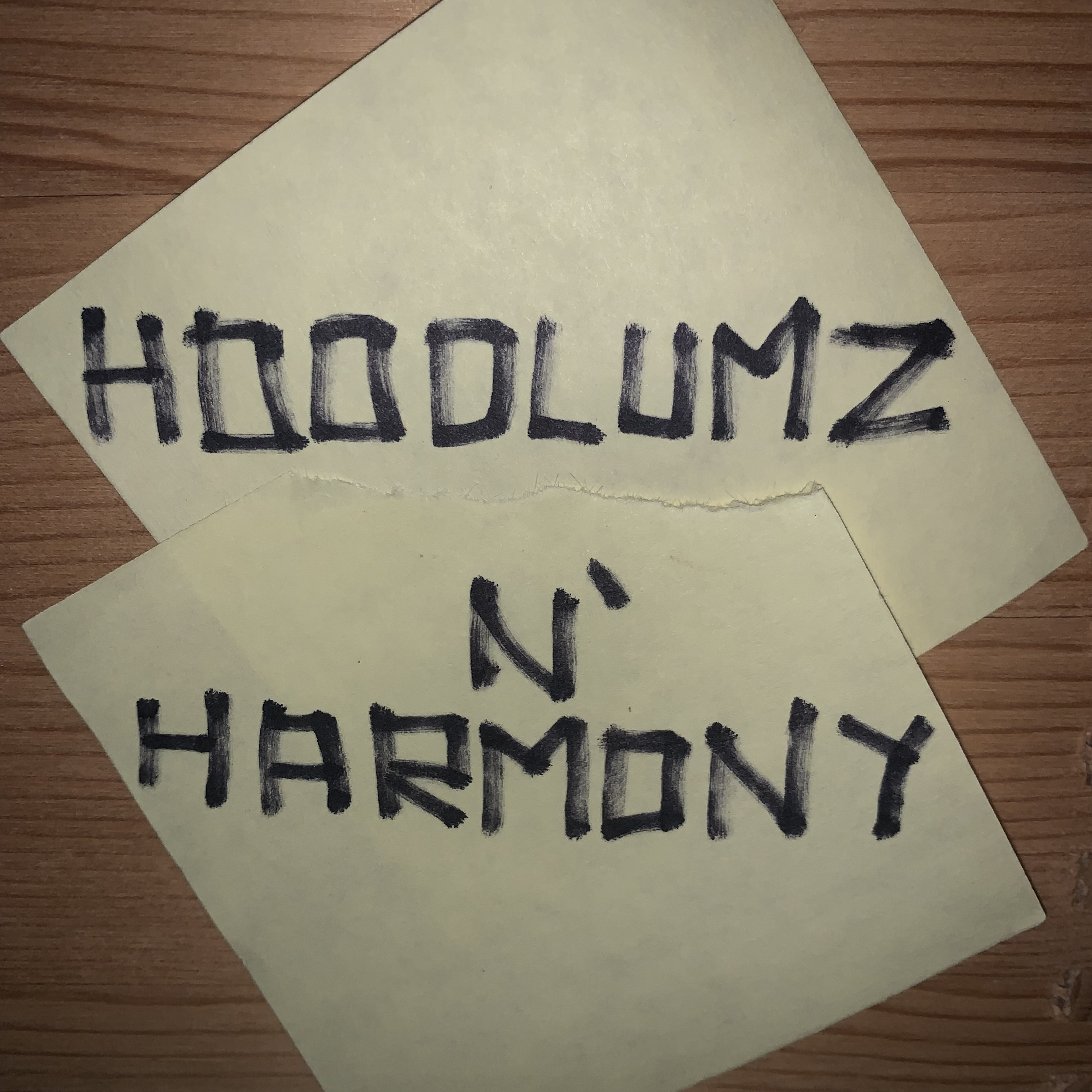 Hoodlumz N’ Harmony by A€E cover art