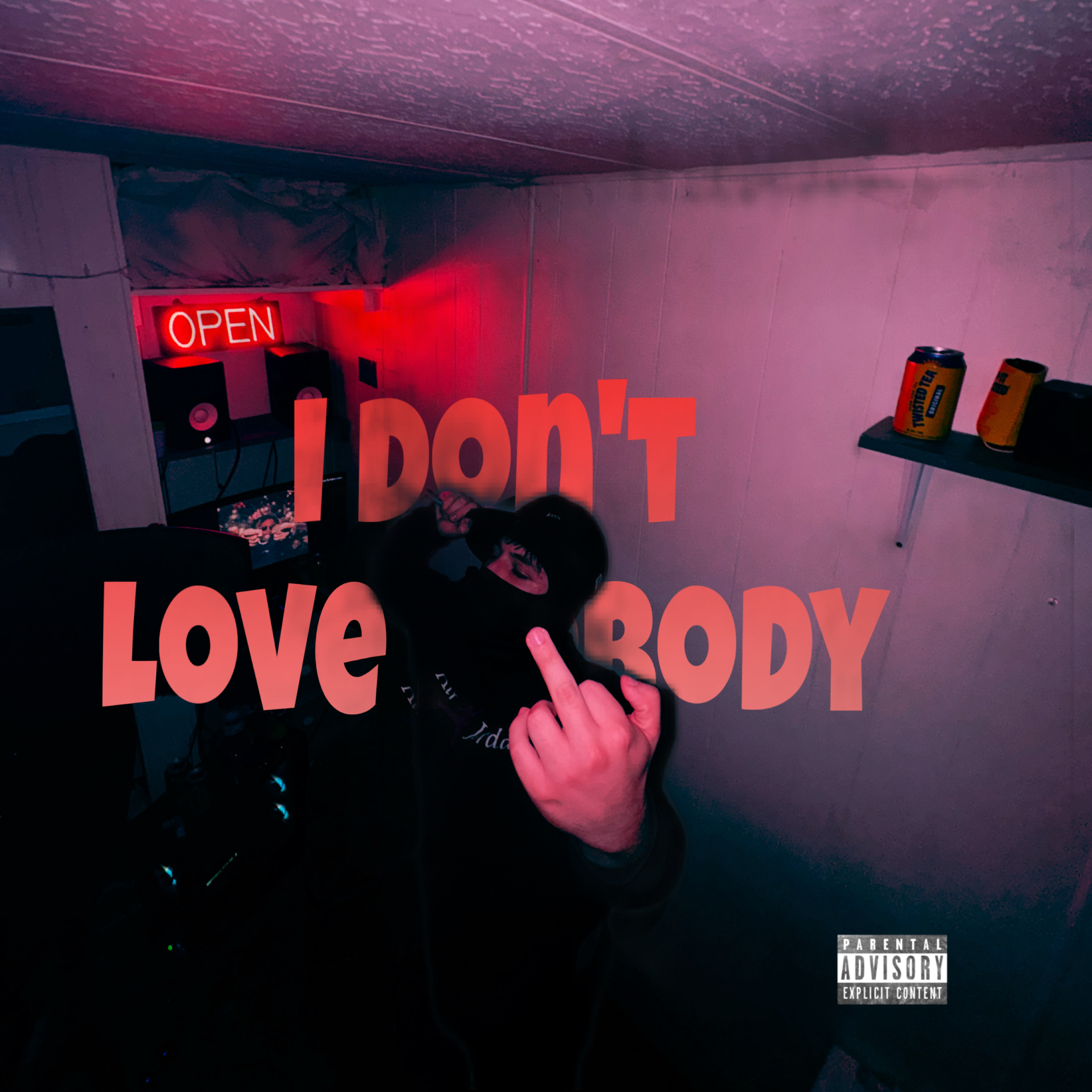I DON’T LOVE NOBODY artwork