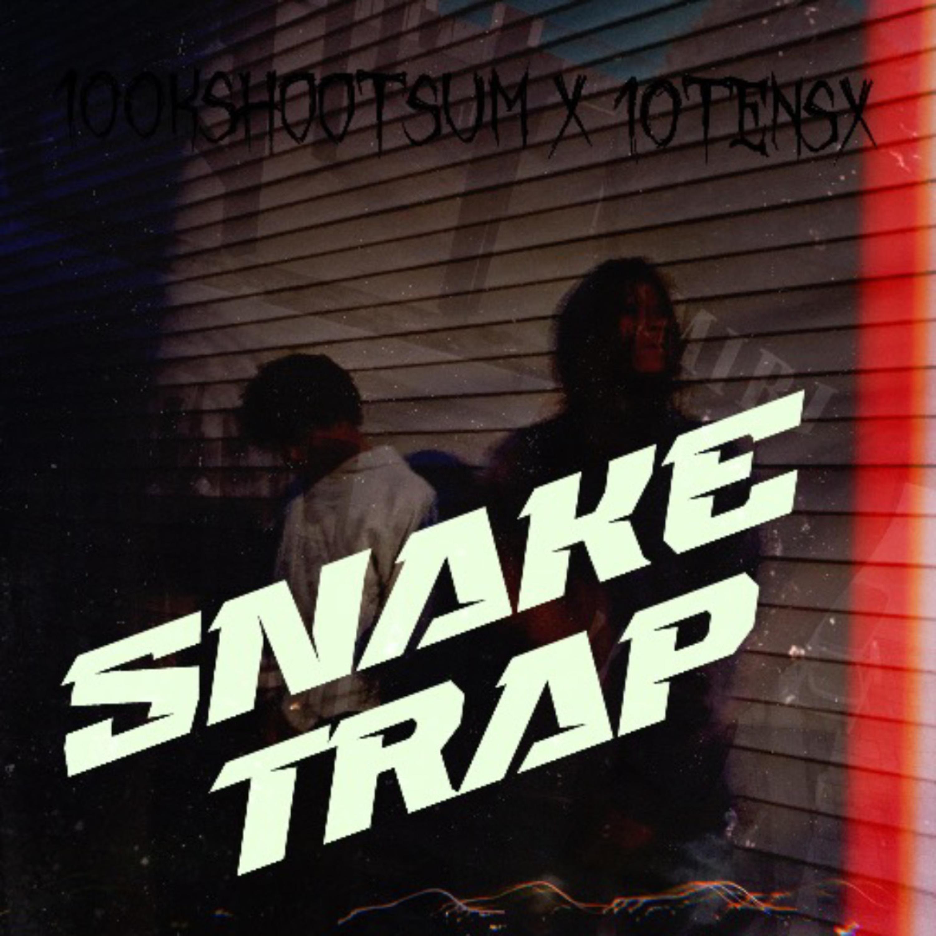 SNAKE TRAP artwork