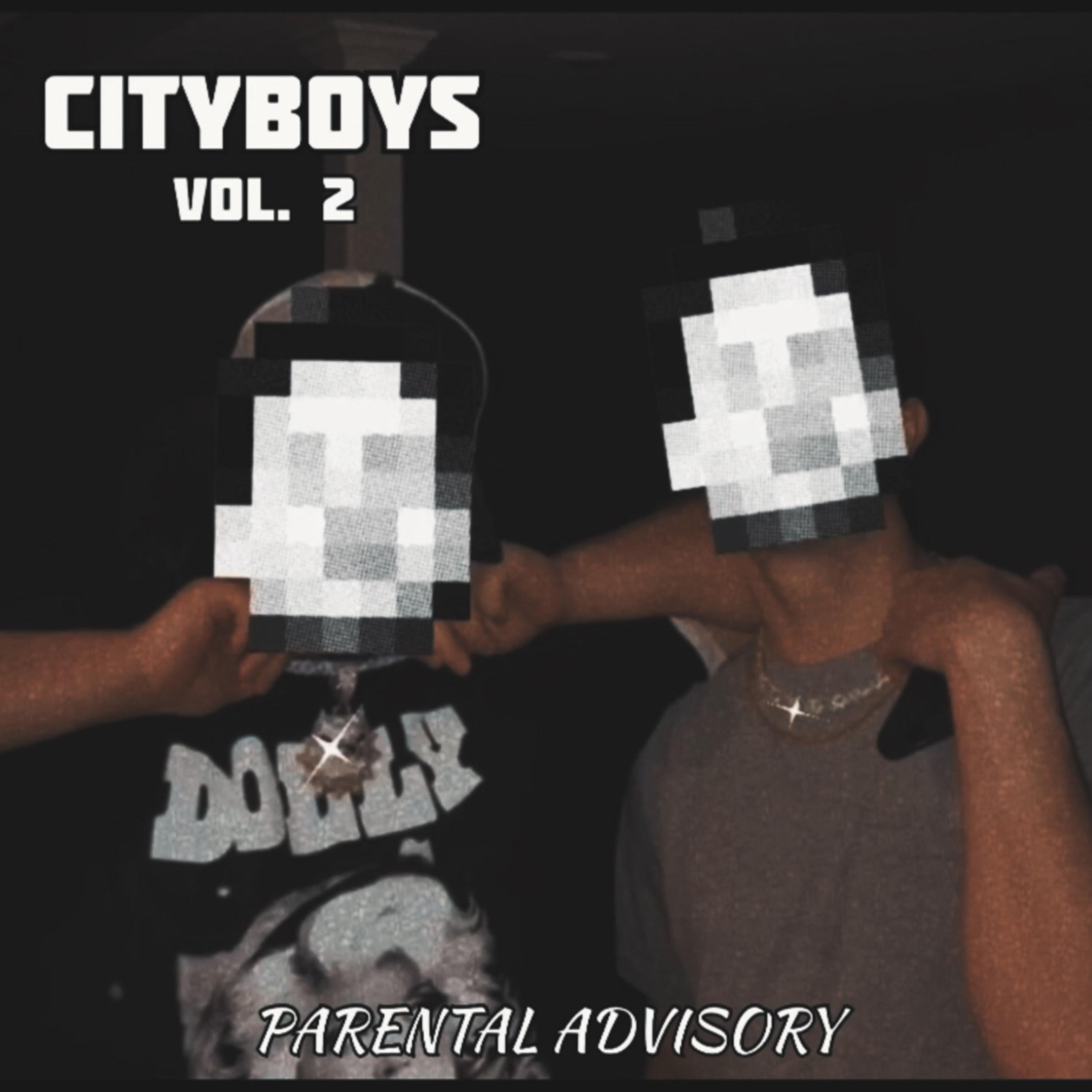 CITYBOYS VOL.2 by Drizzi G cover art