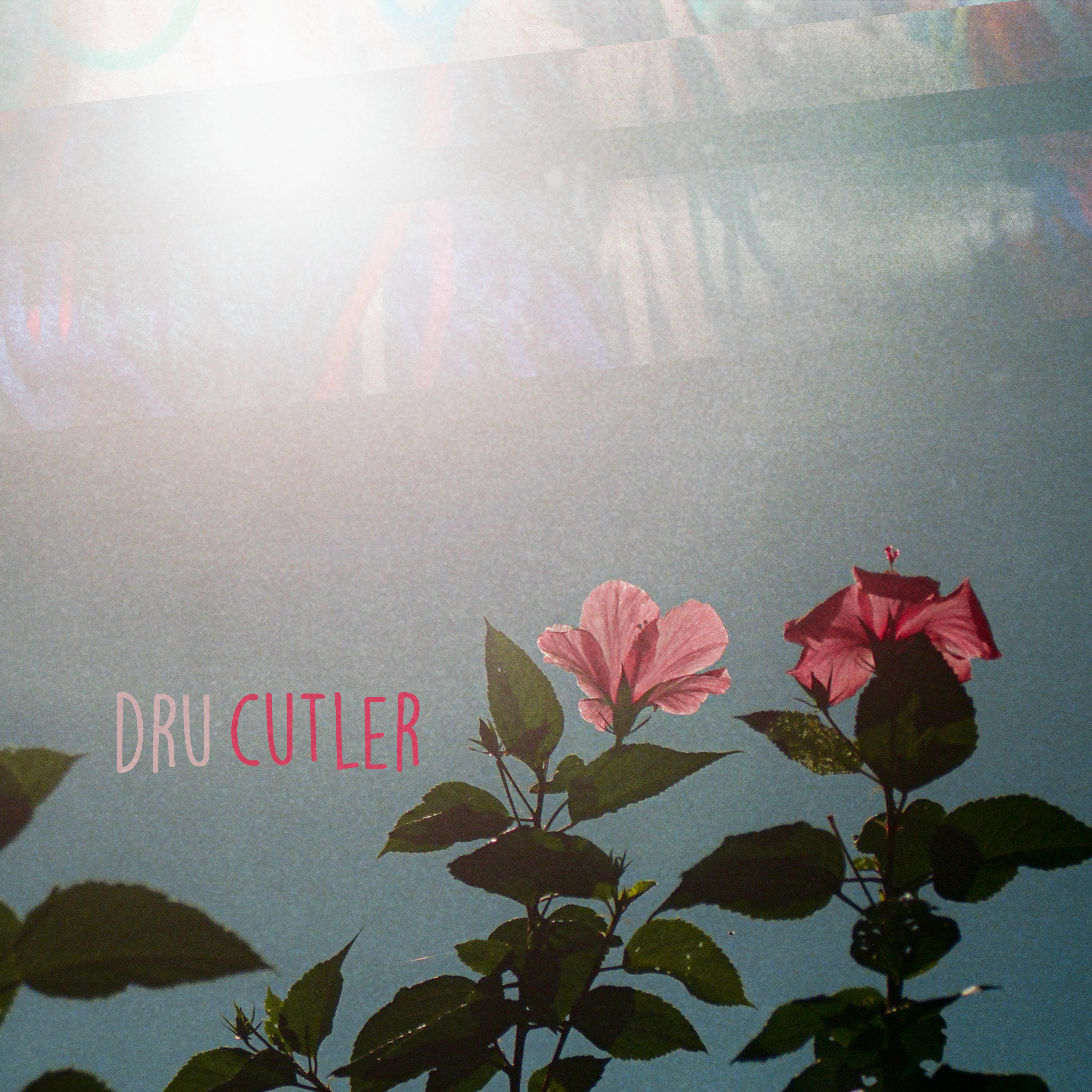 I Don't Kill Bugs Anymore by Dru Cutler cover art
