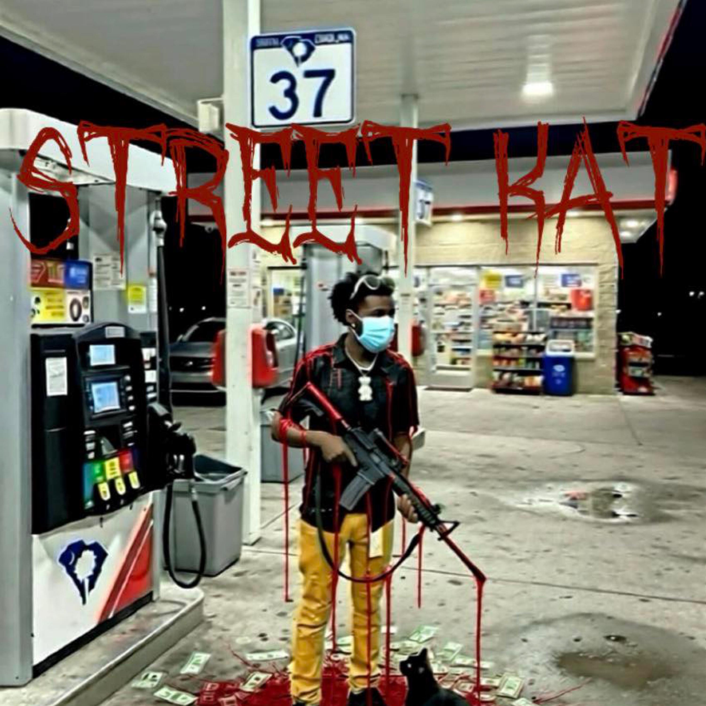 Street Kat artwork