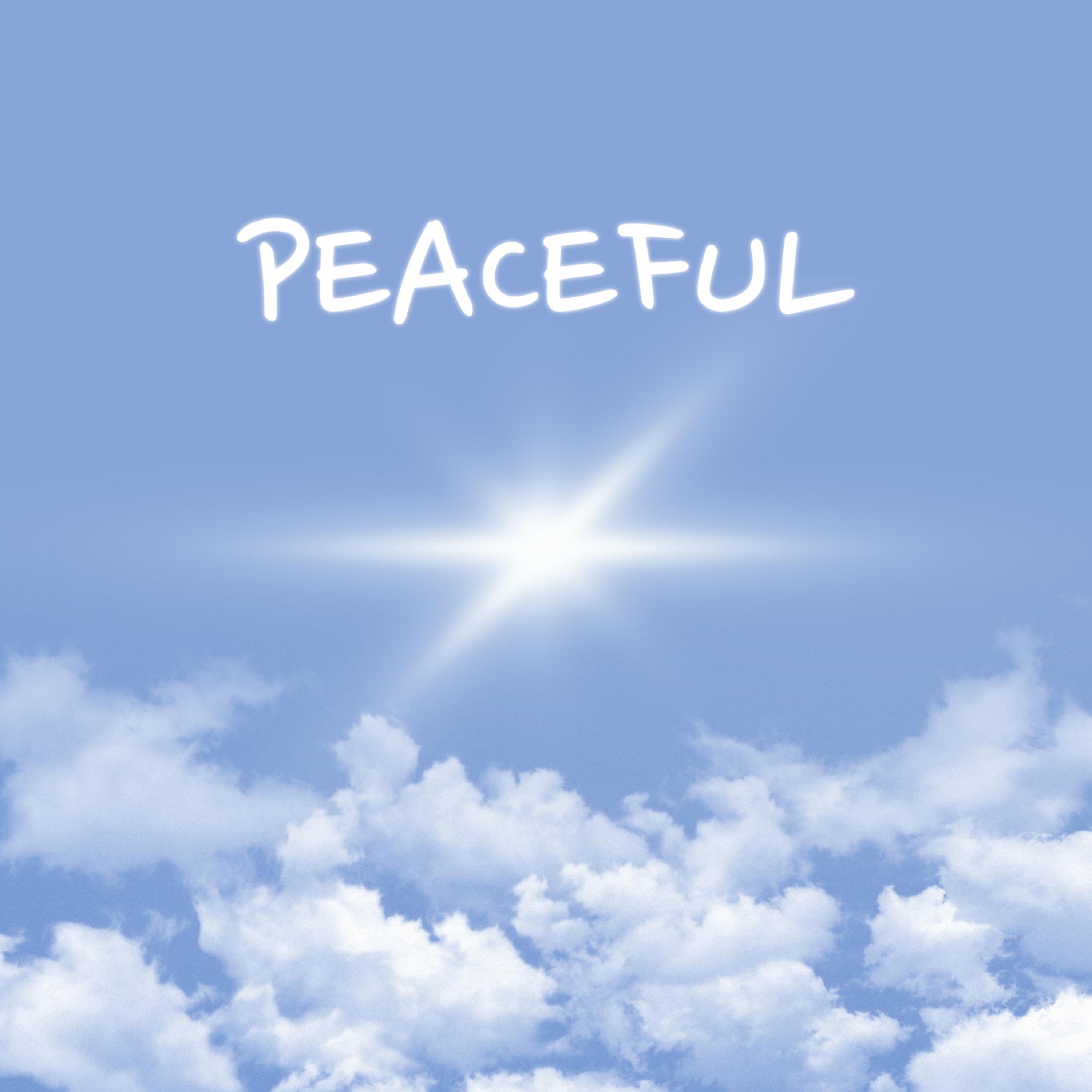 Peaceful Blessed Life by Lil Mikey cover art