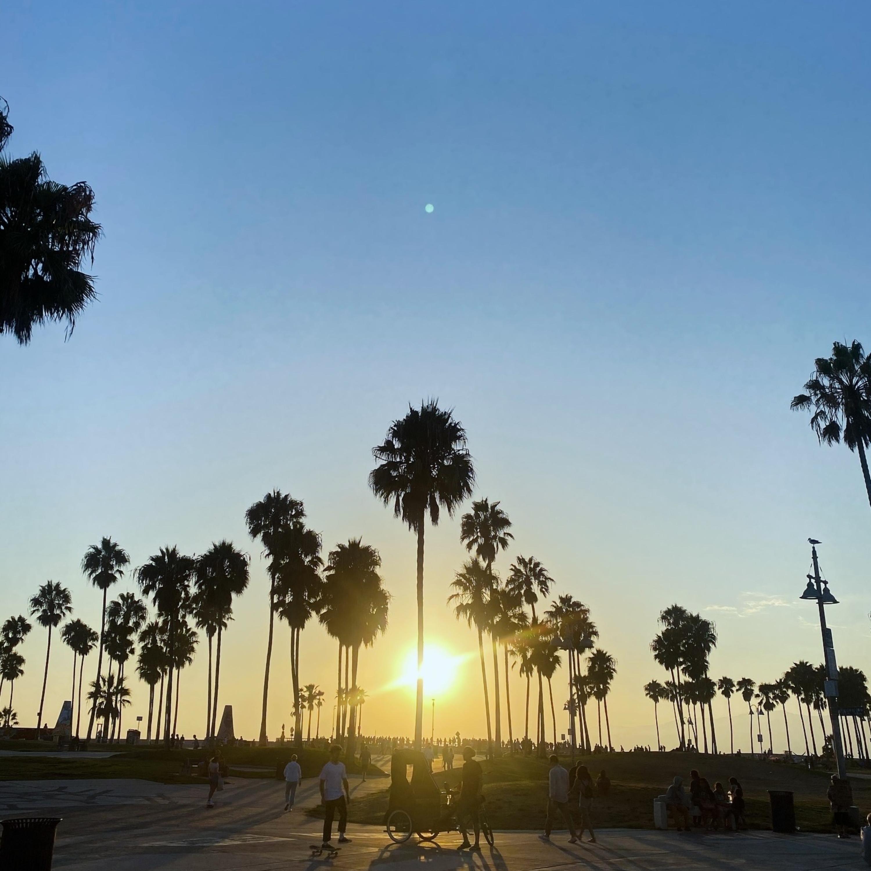 California Dreamin artwork