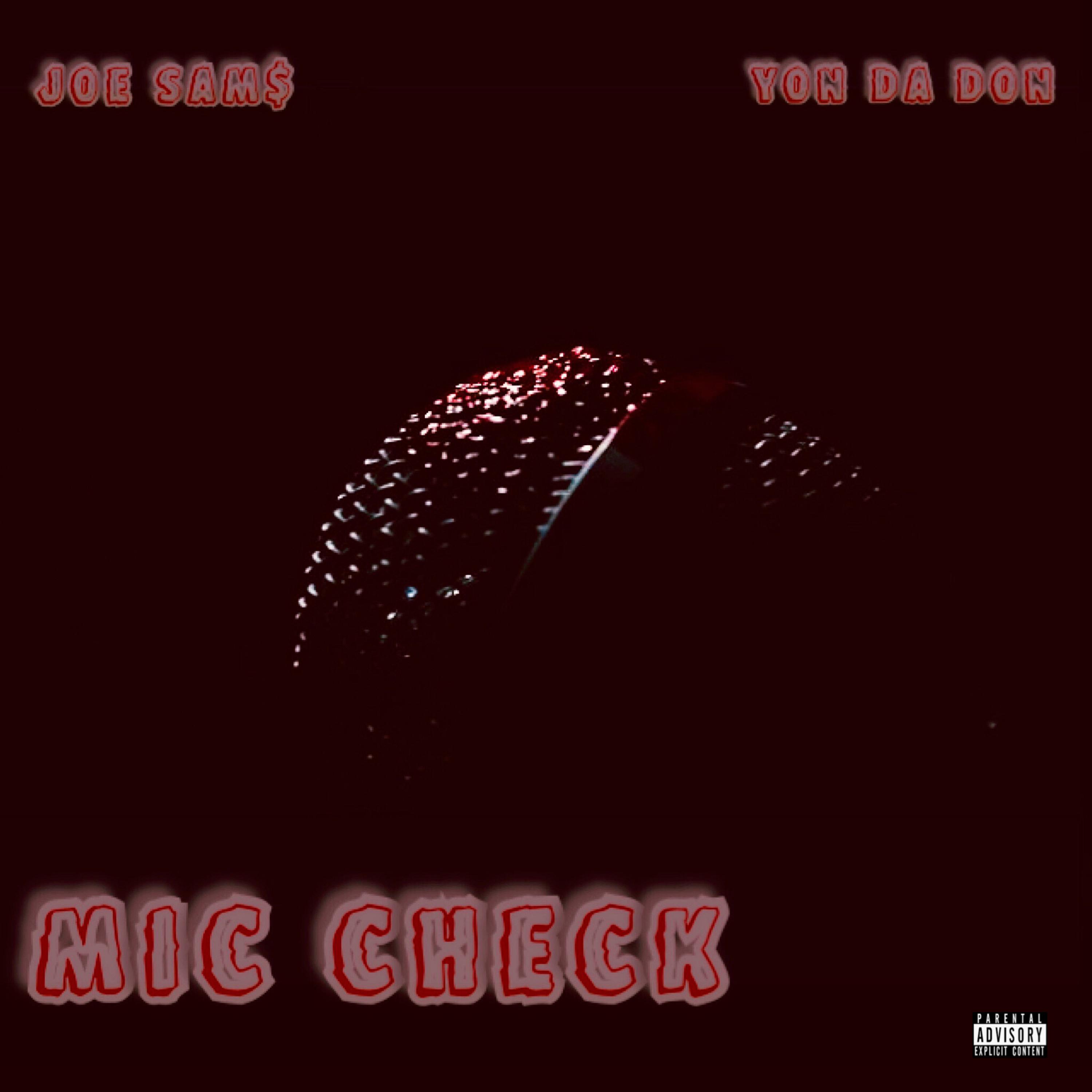 Mic Check artwork