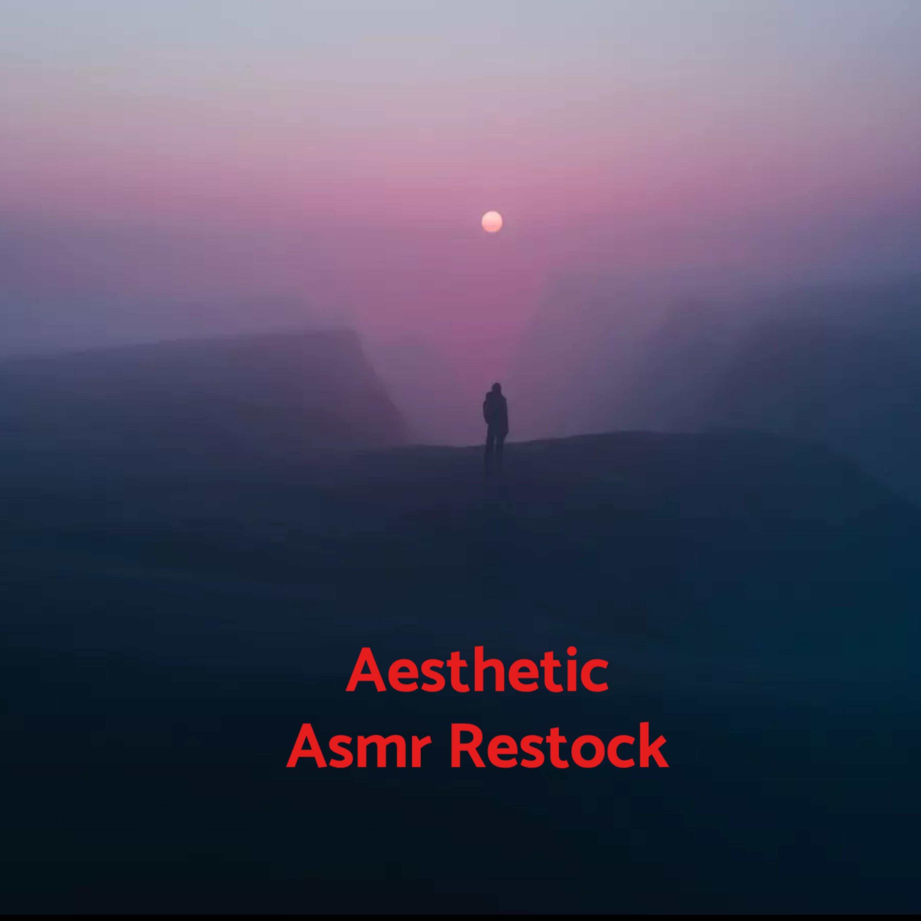 Aesthetic Asmr Restock artwork