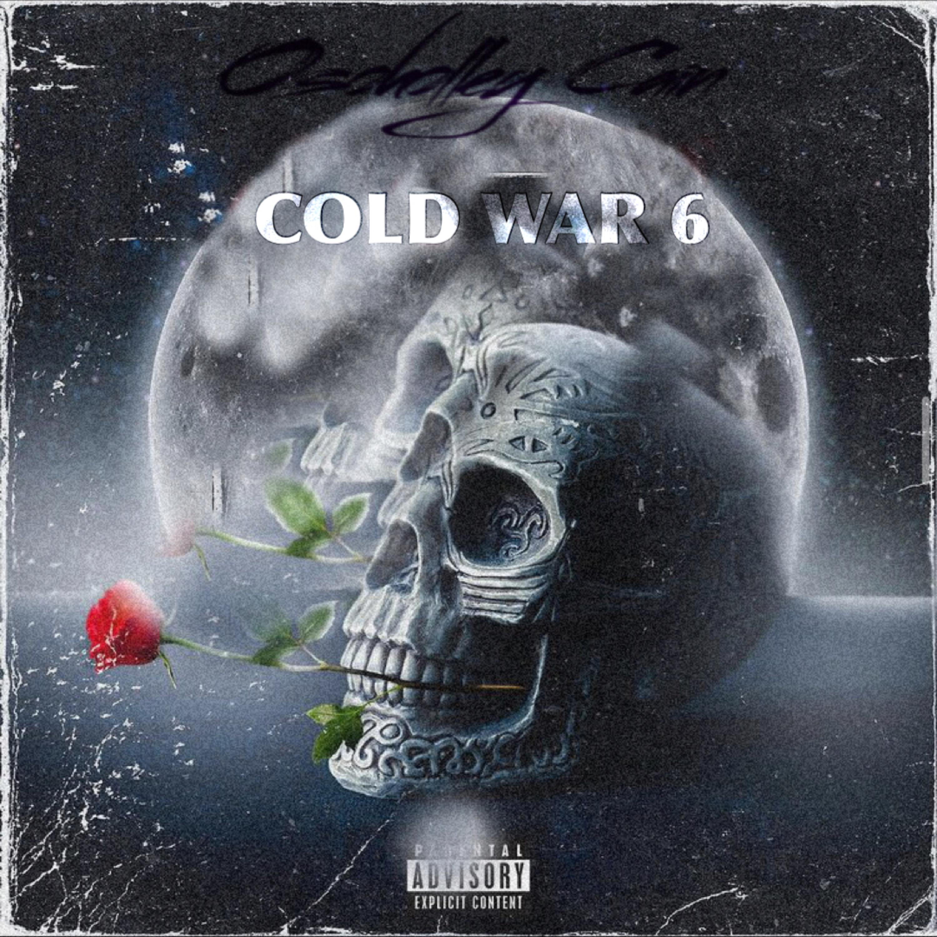 Cold War 6 artwork