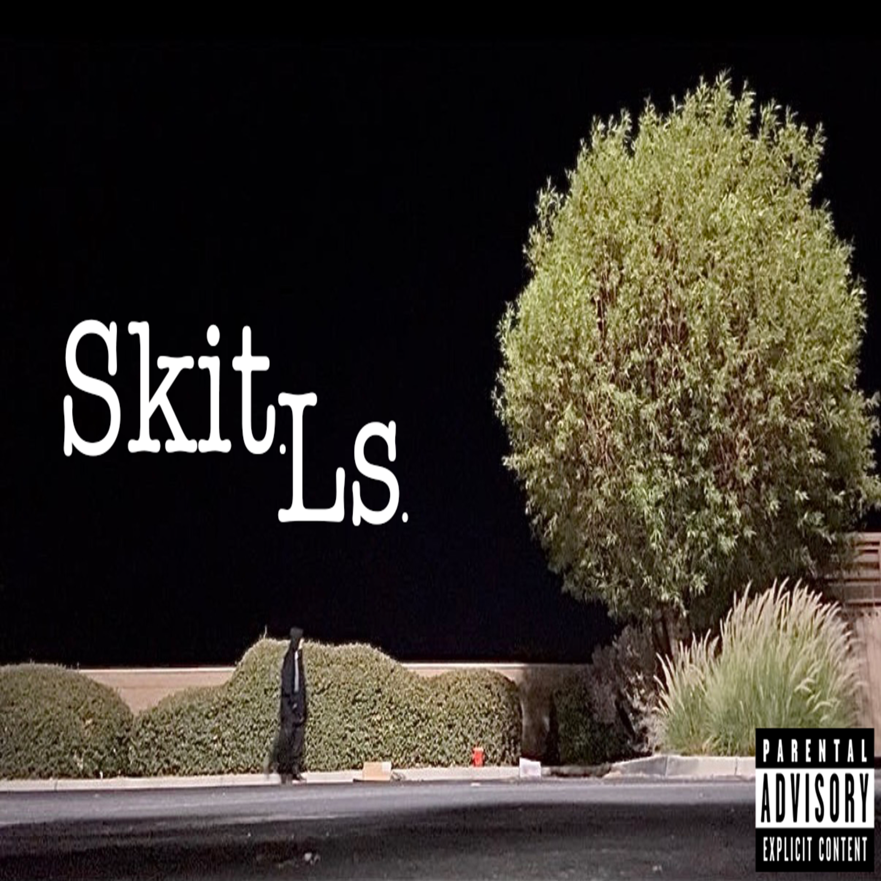 Domino Theory by Skit Ls cover art