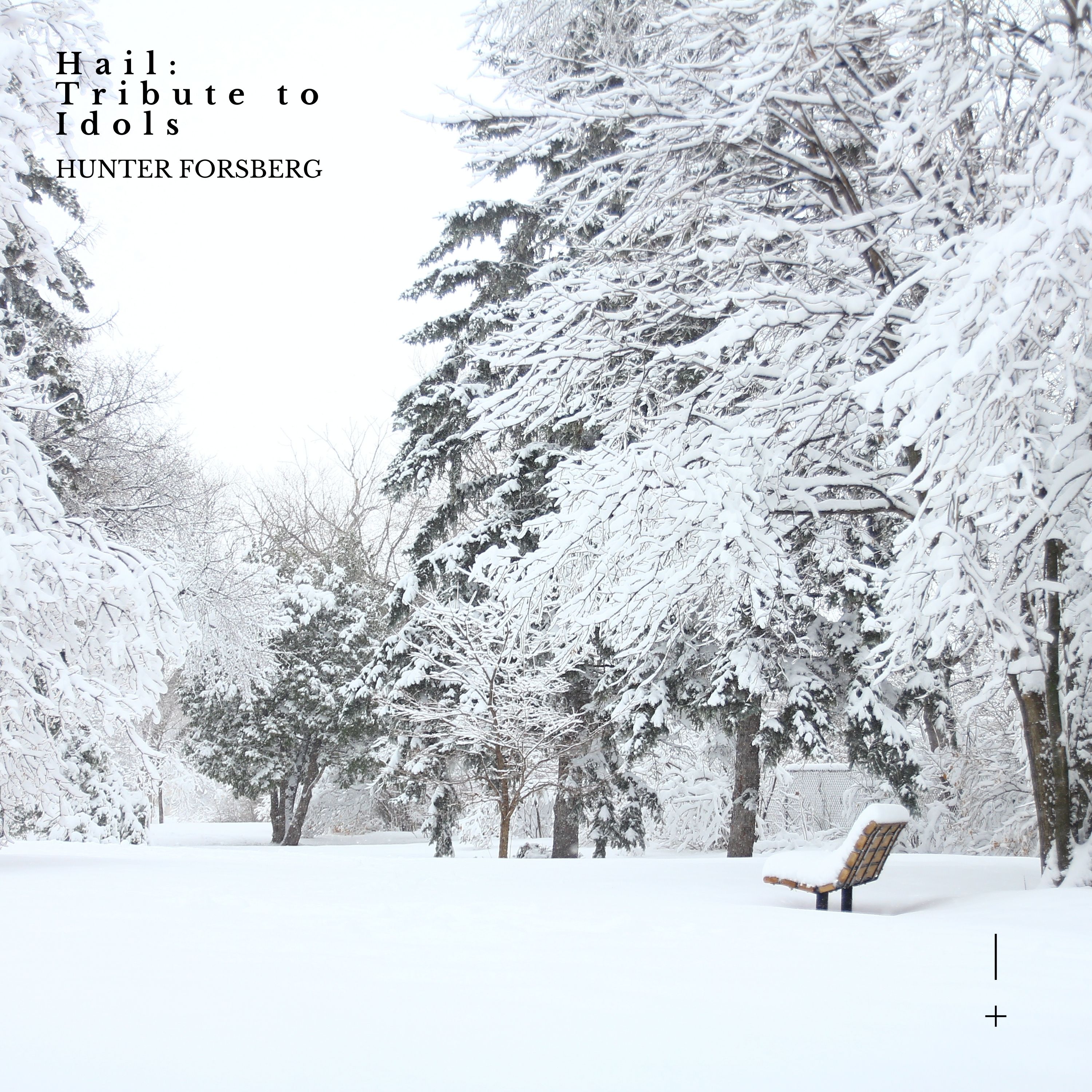 Hail: Tribute to Idols artwork