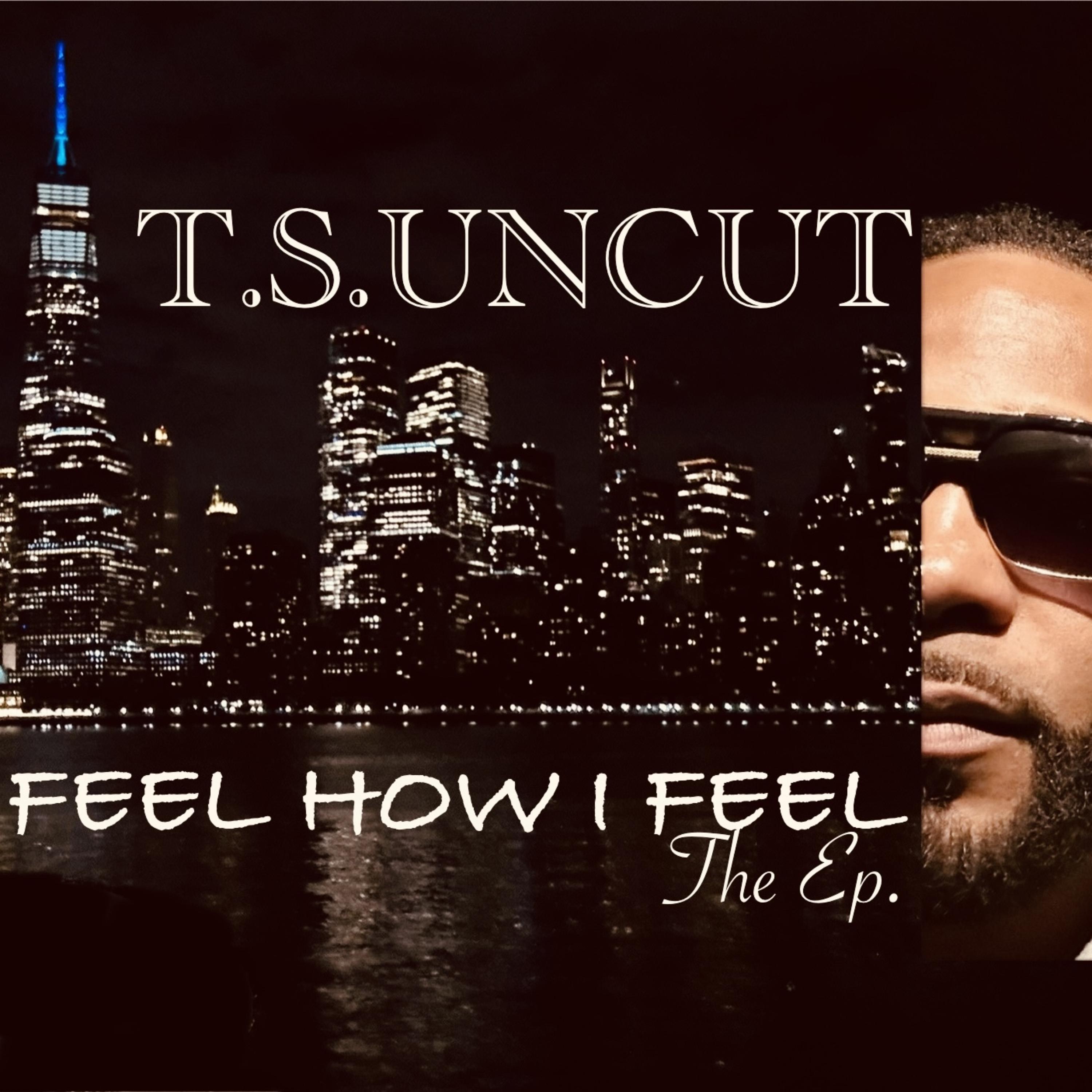FEEL HOW I FEEL artwork