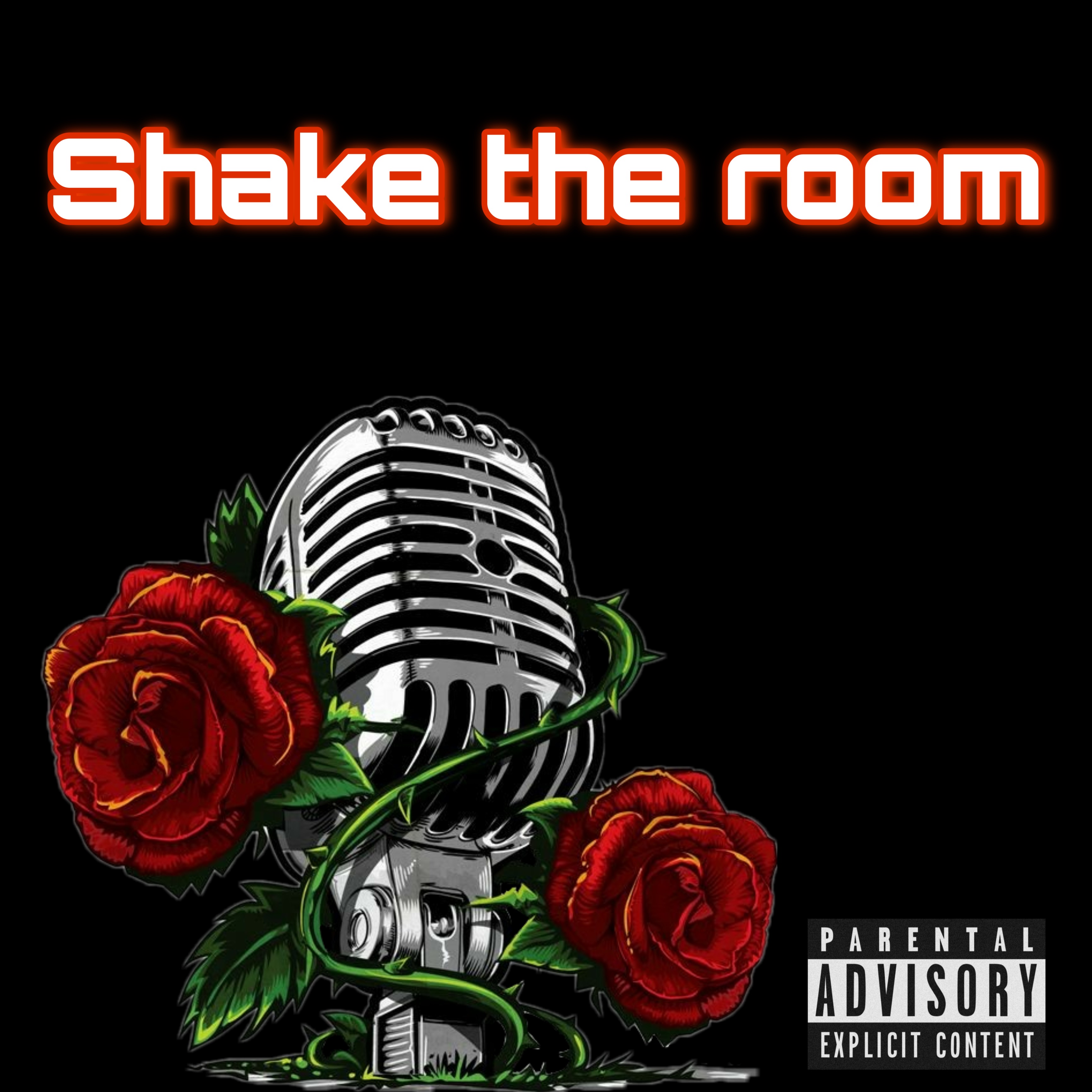 Shake The Room artwork