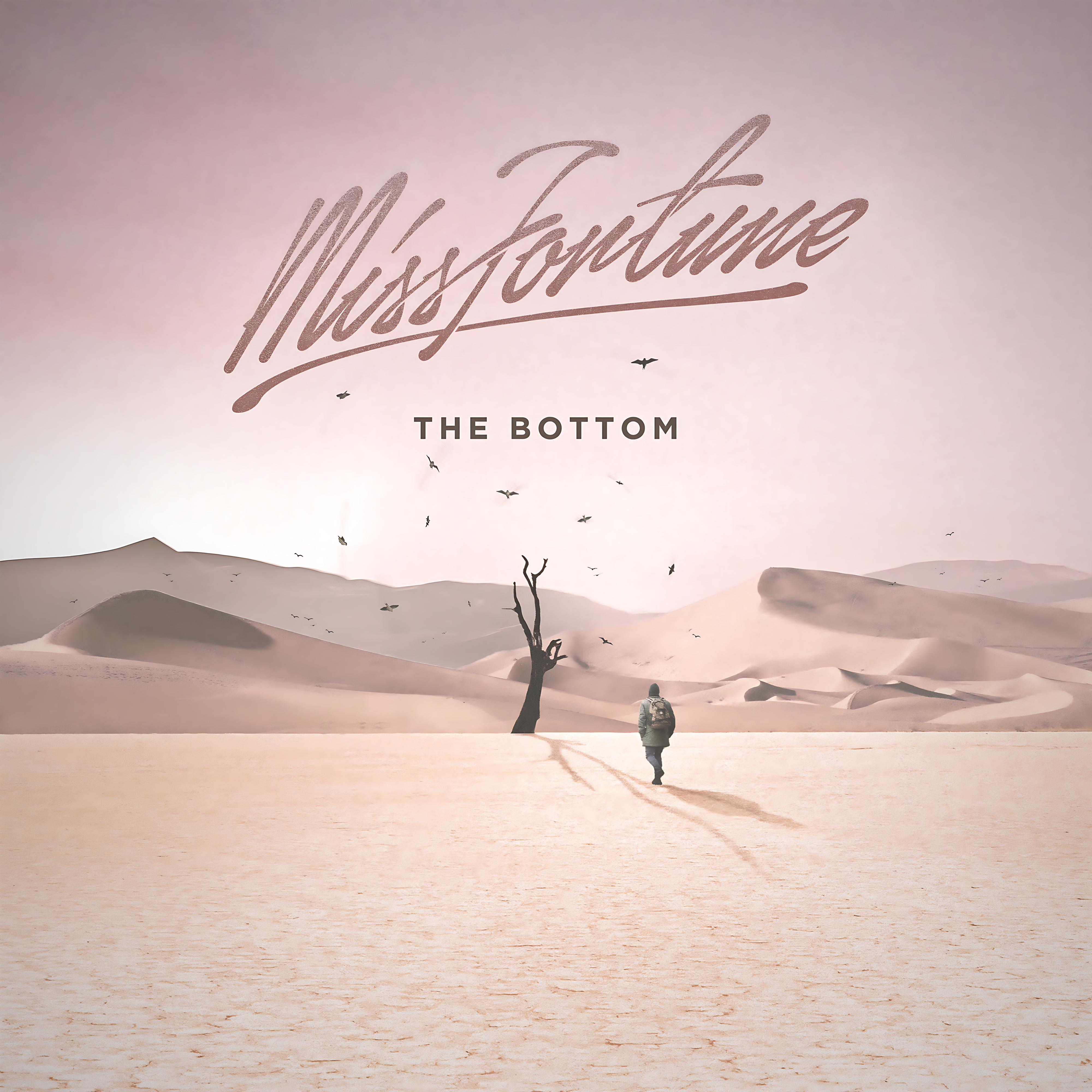 The Bottom by Miss Fortune cover art