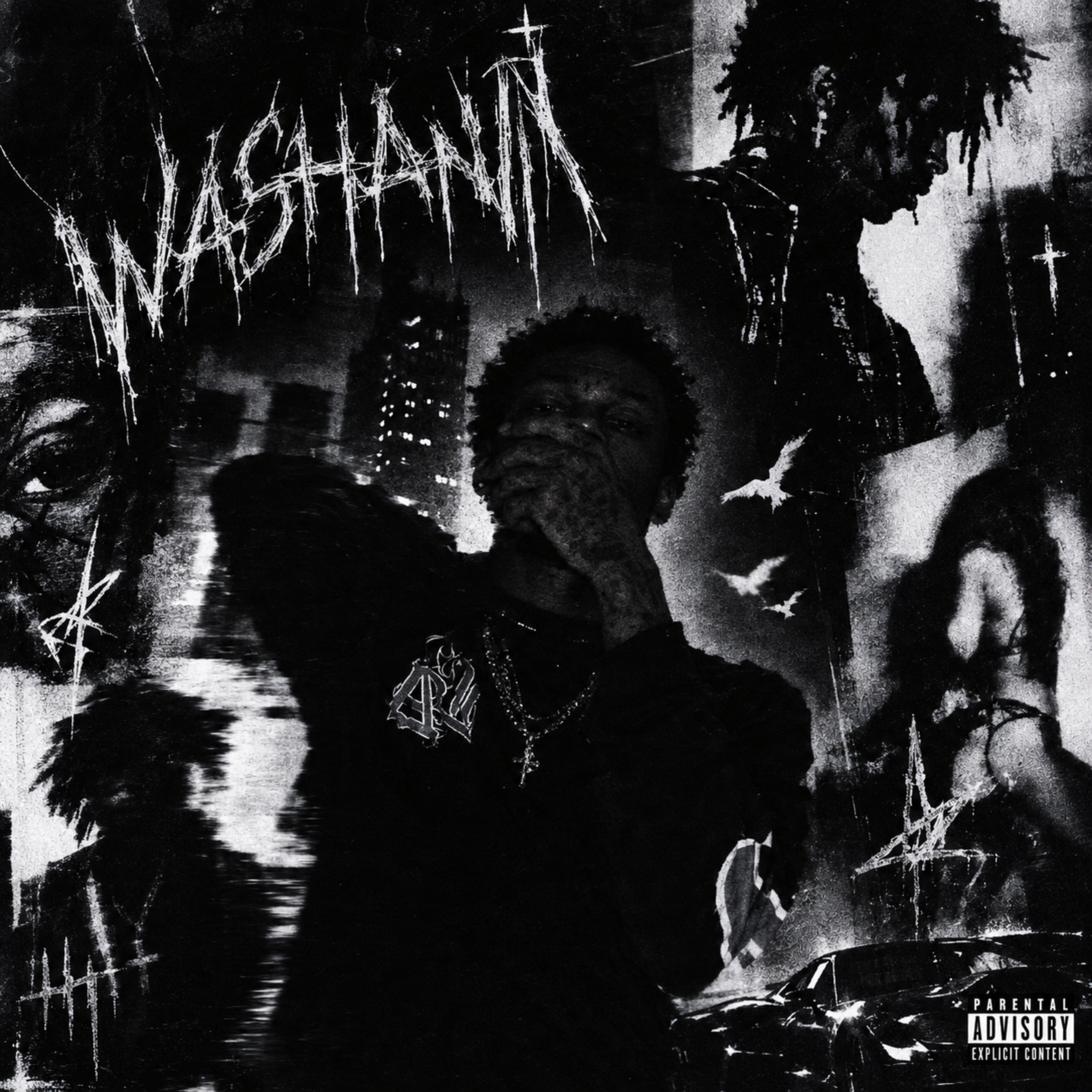 Washanin by Shelovesyves cover art