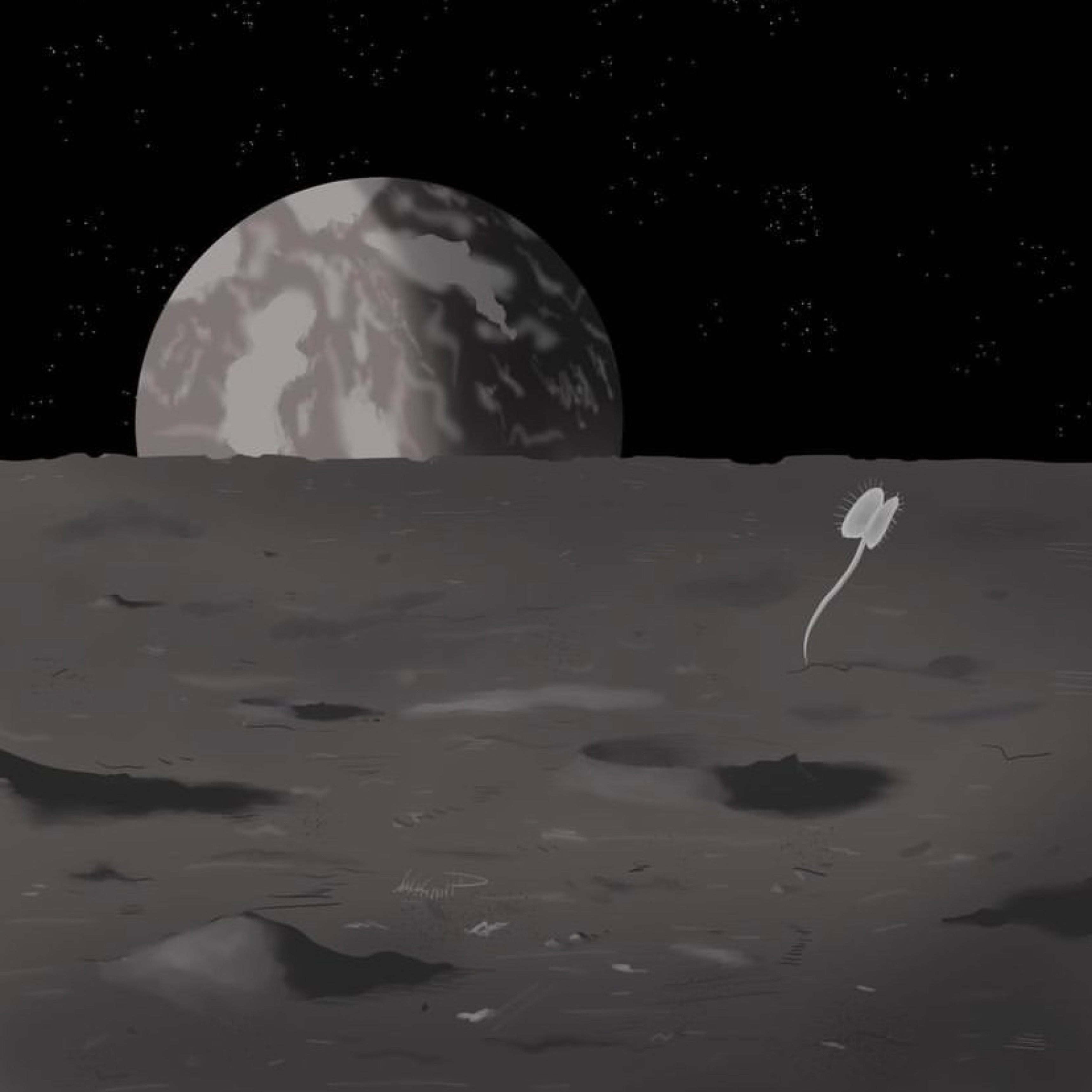 Martian artwork