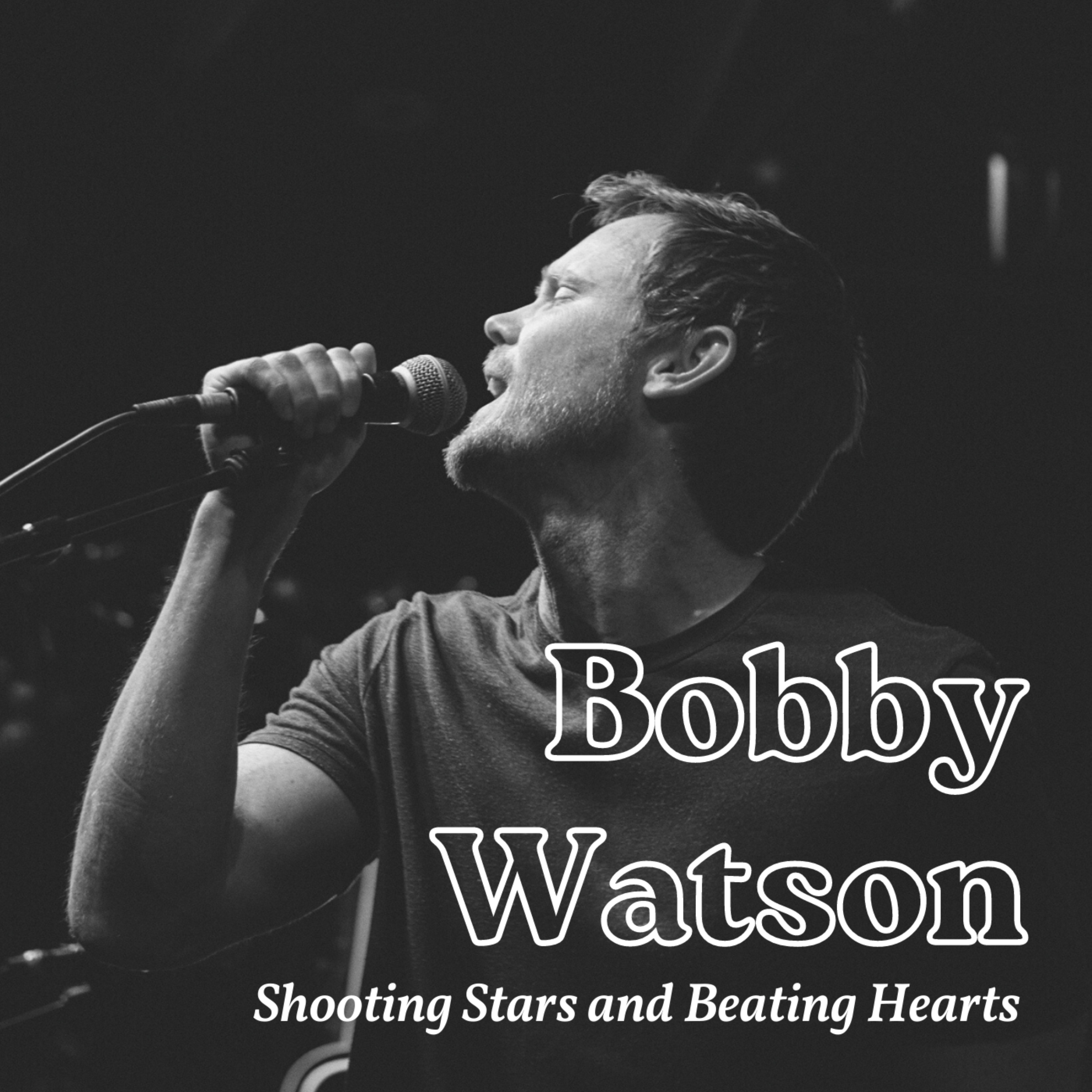 Shooting Stars and Beating Hearts artwork