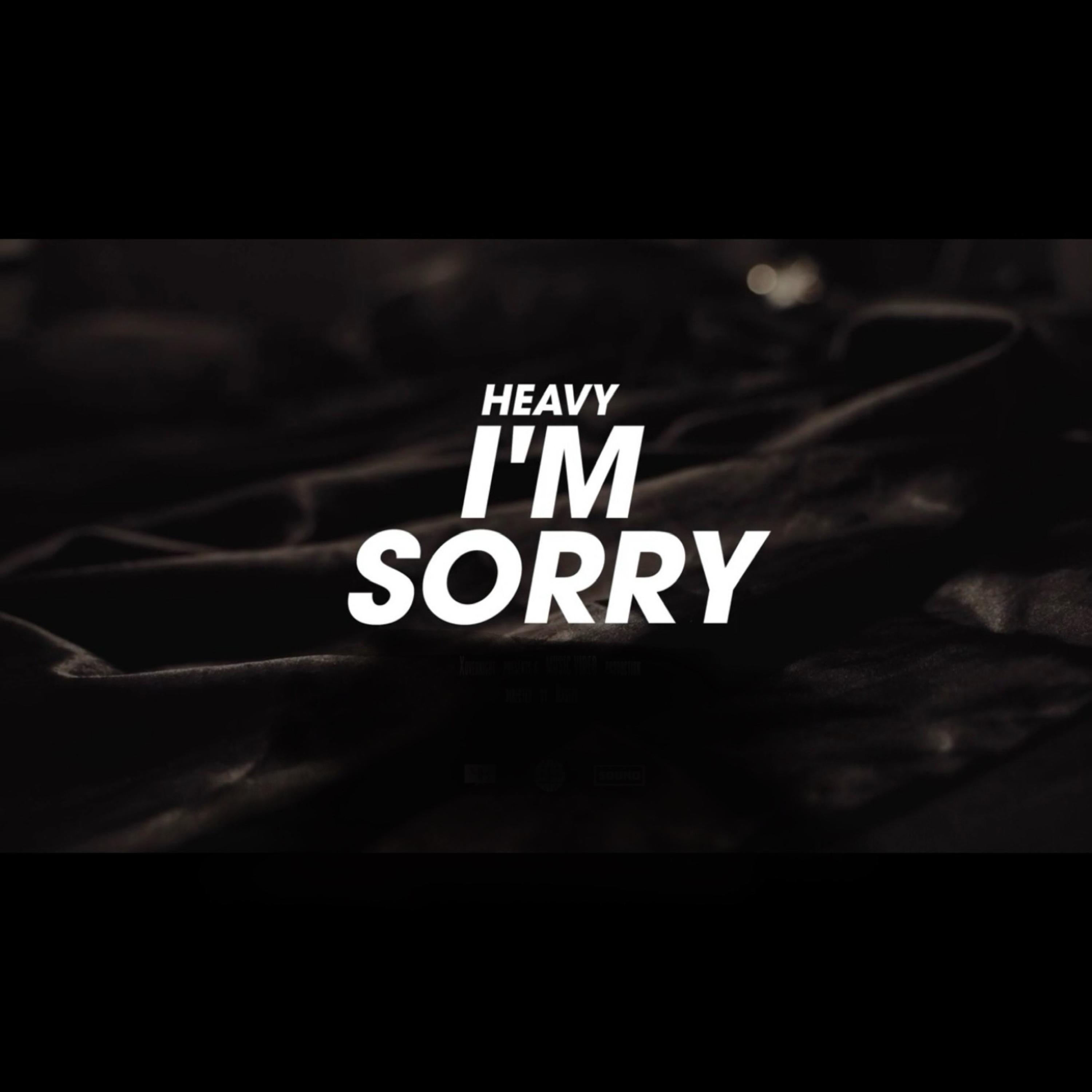I’m Sorry artwork