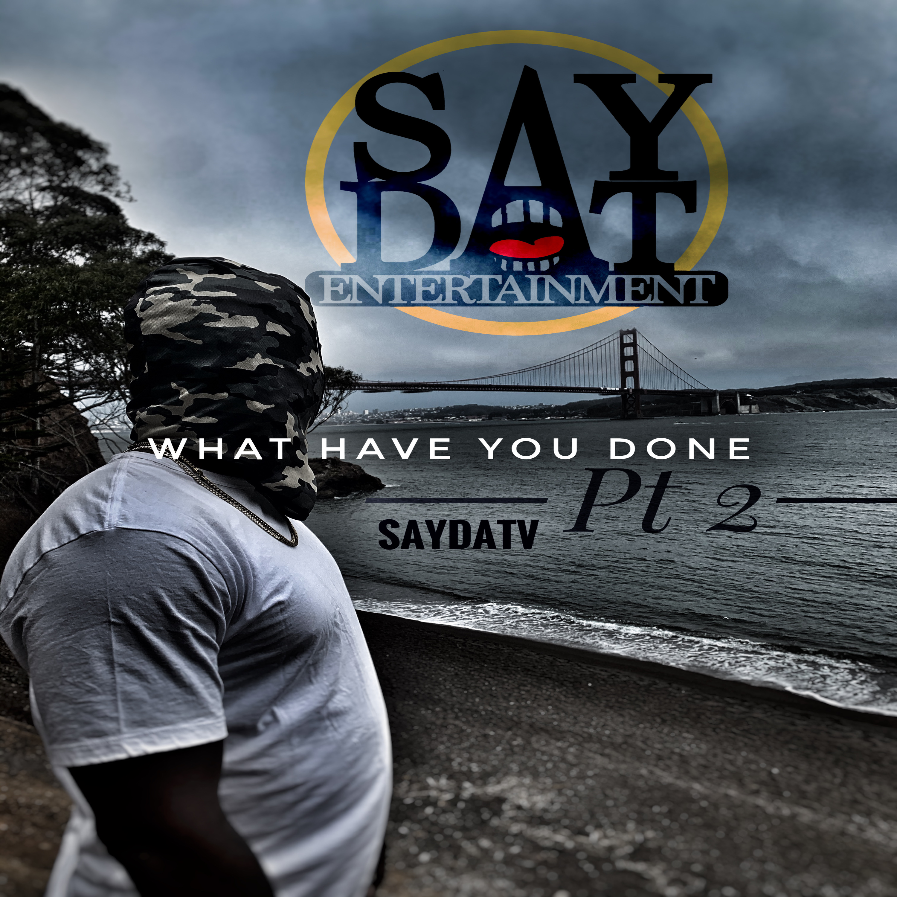 What Have You Done pt2 artwork