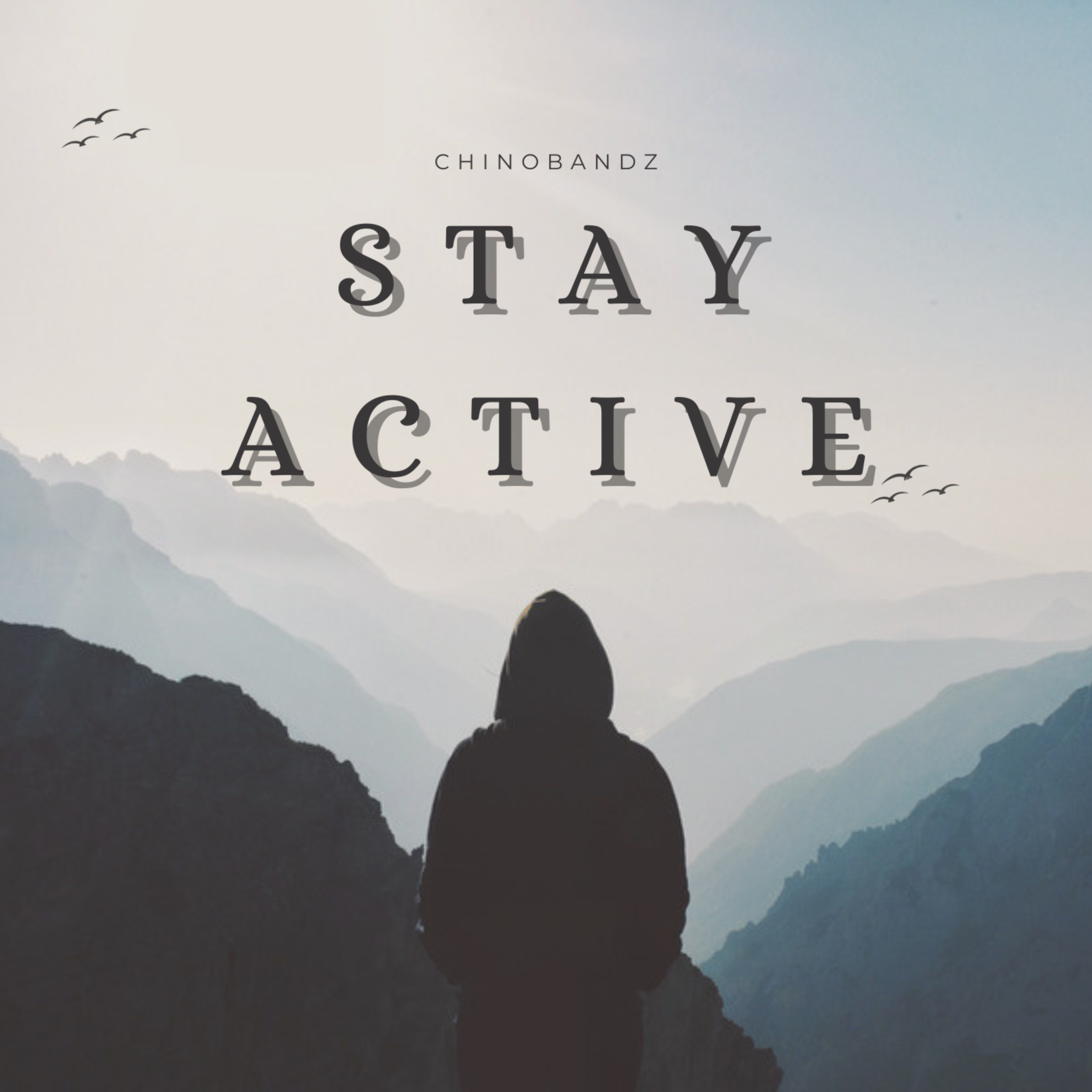 StayActive artwork