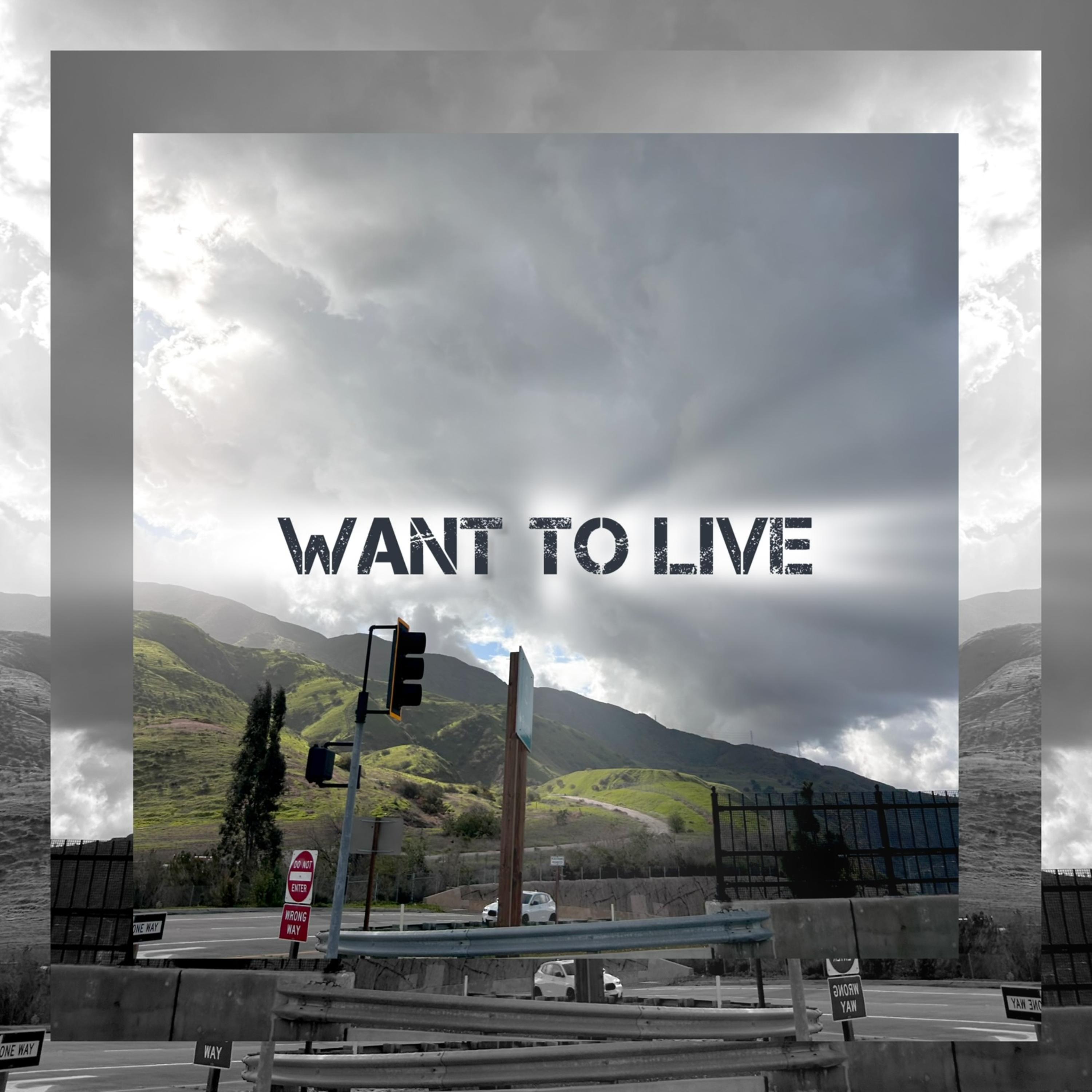 WANT TO LIVE artwork
