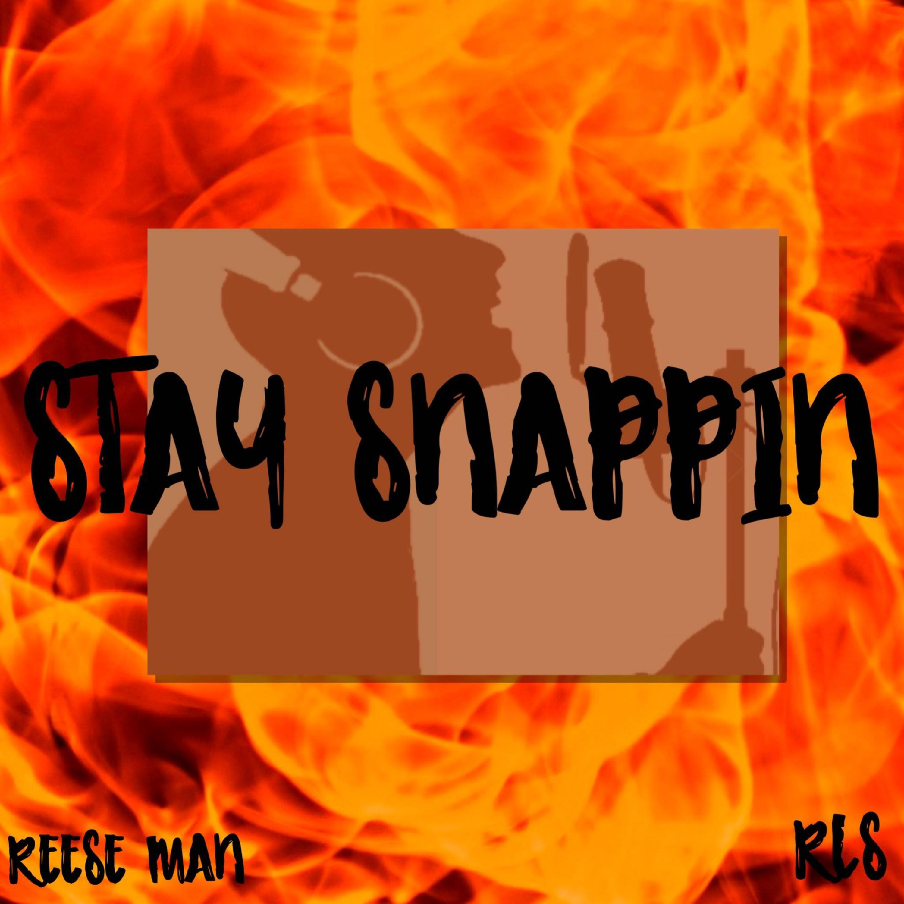 Stay Snappin artwork