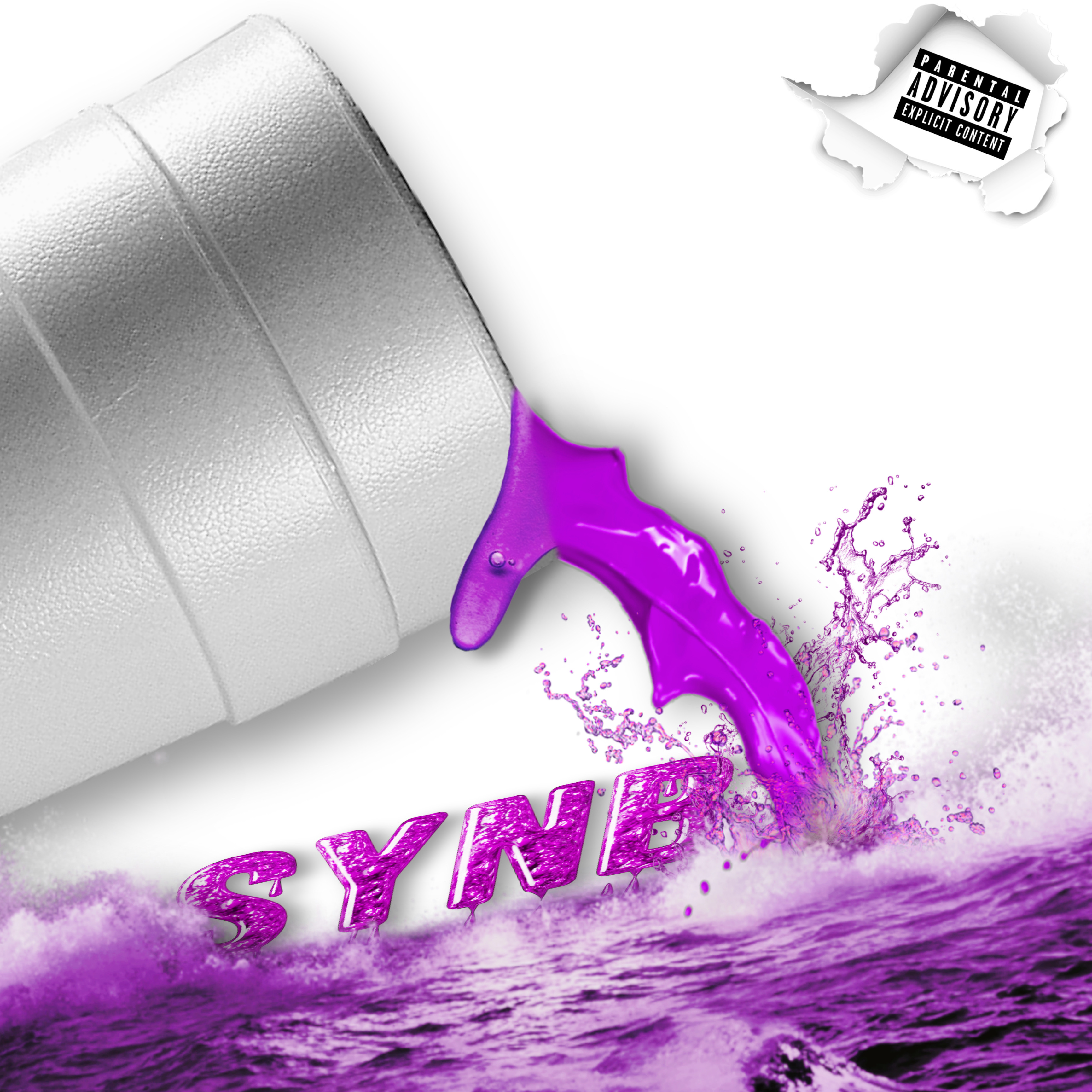 SyNB artwork