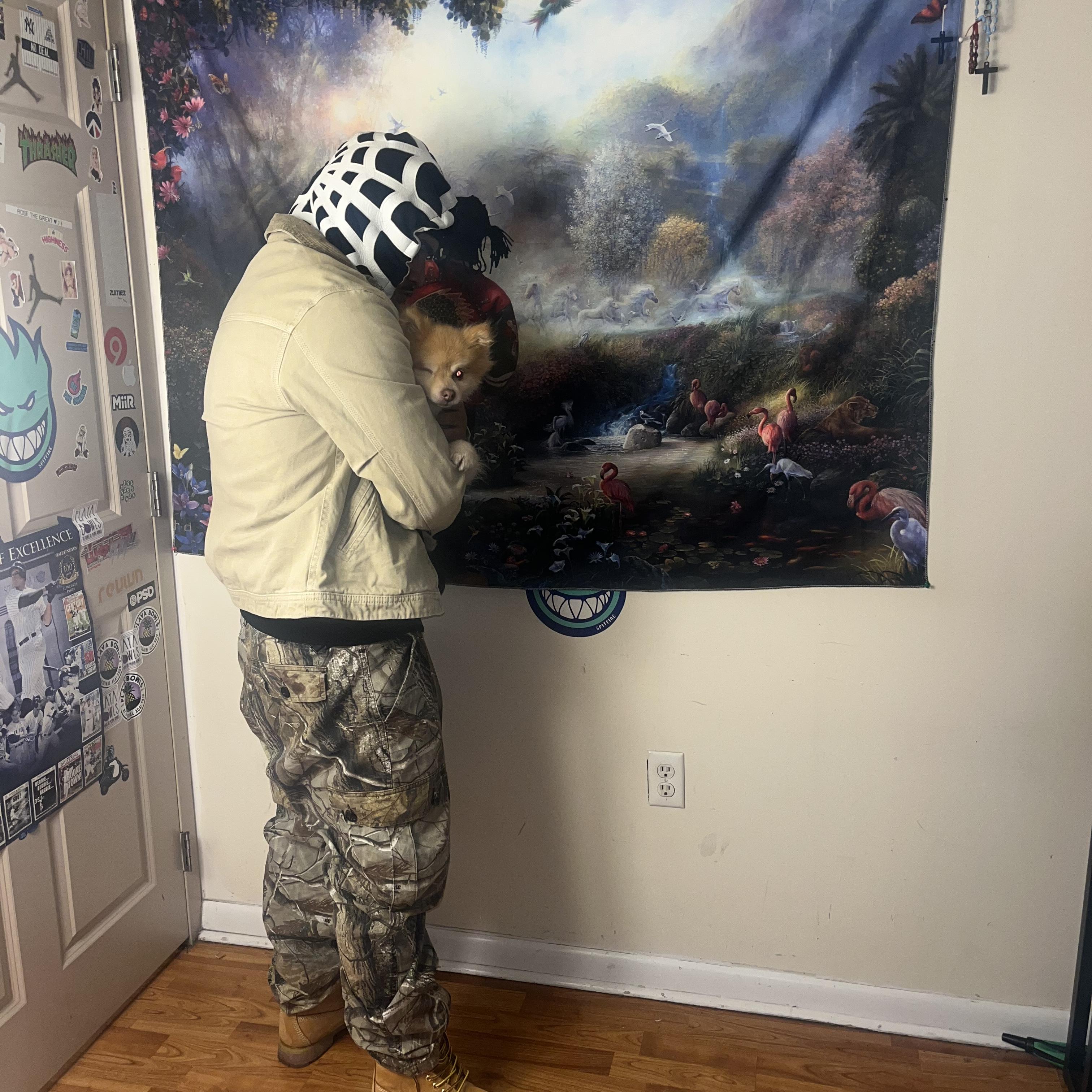 Benelli artwork