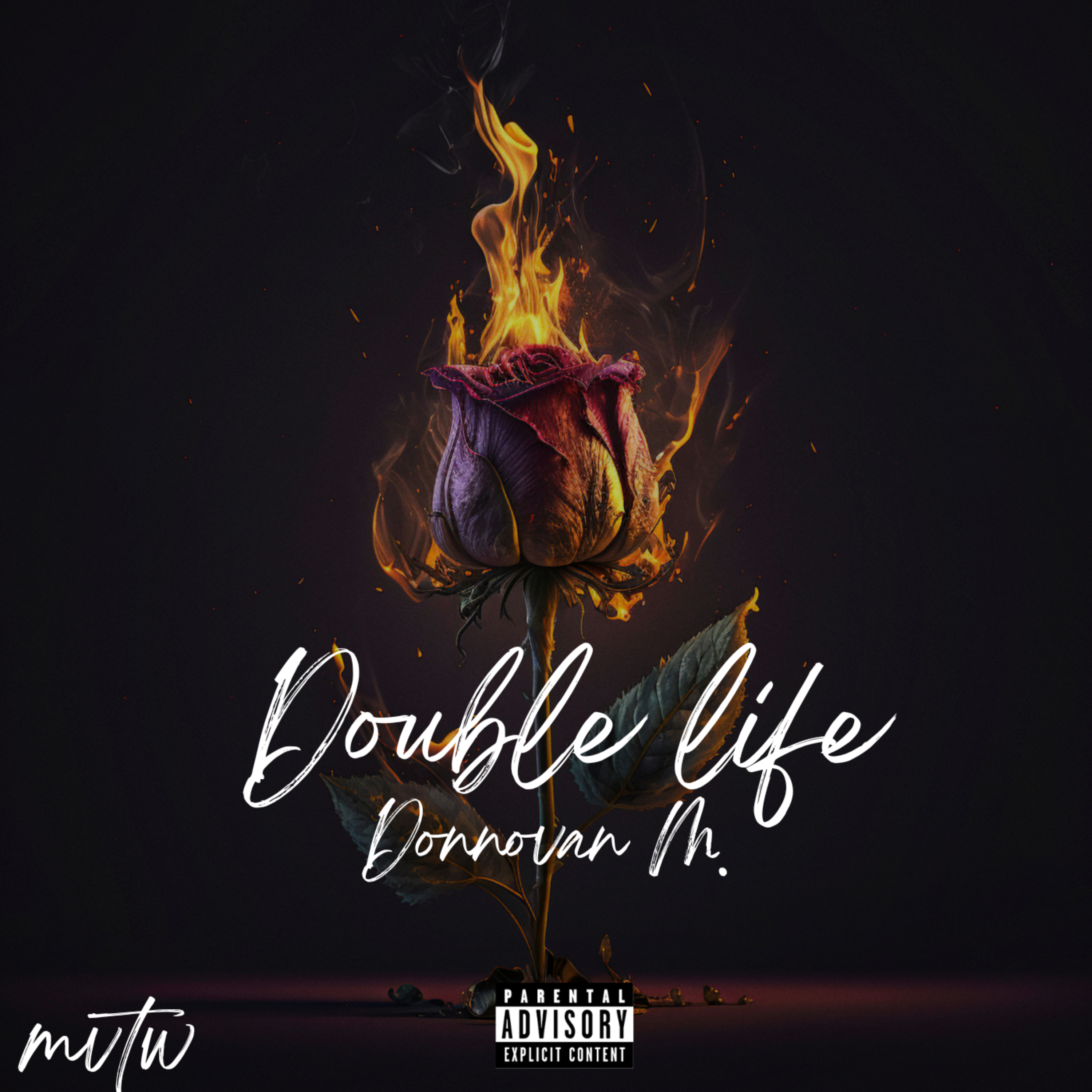 Double Life artwork