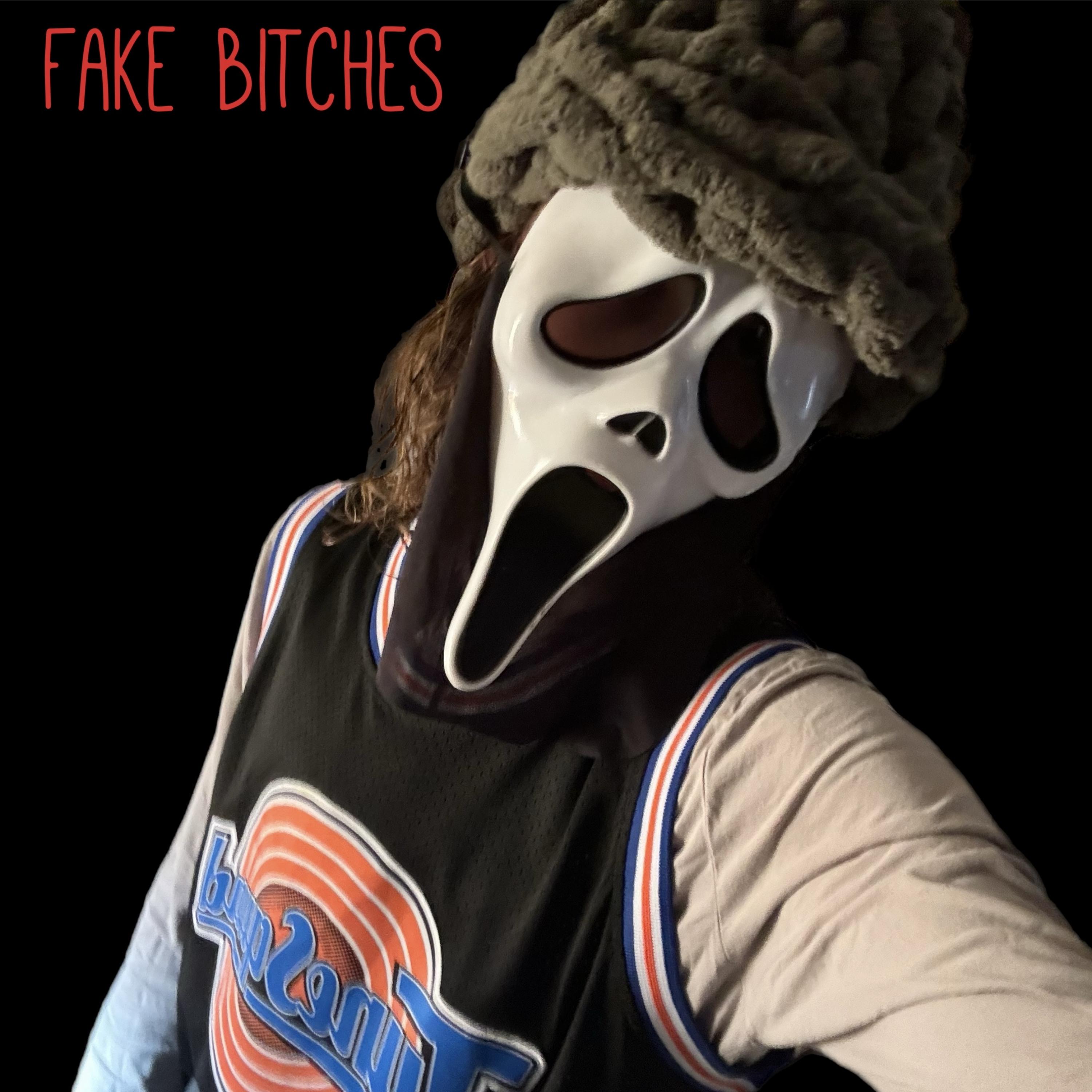 Fake Bitches artwork