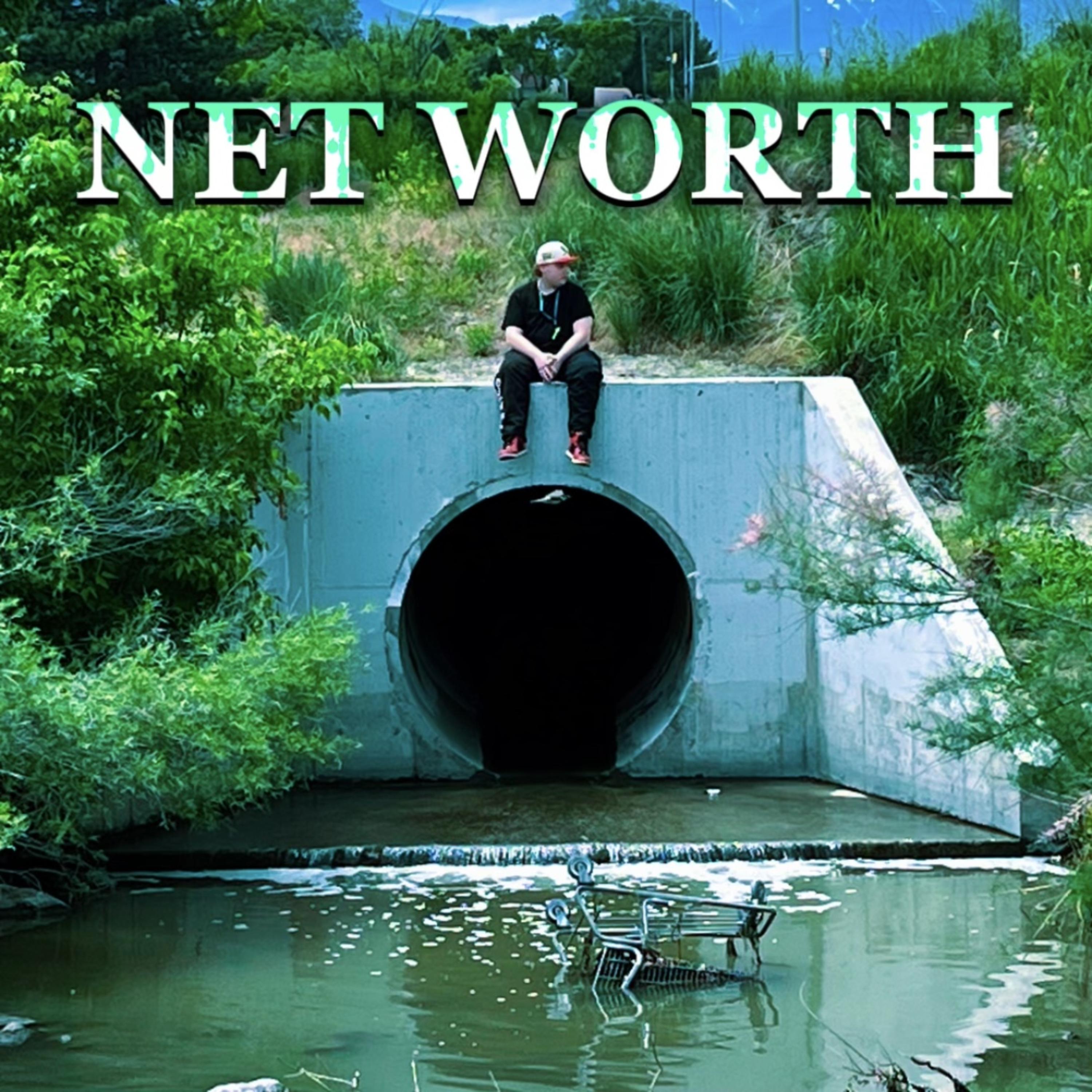 NET WORTH artwork