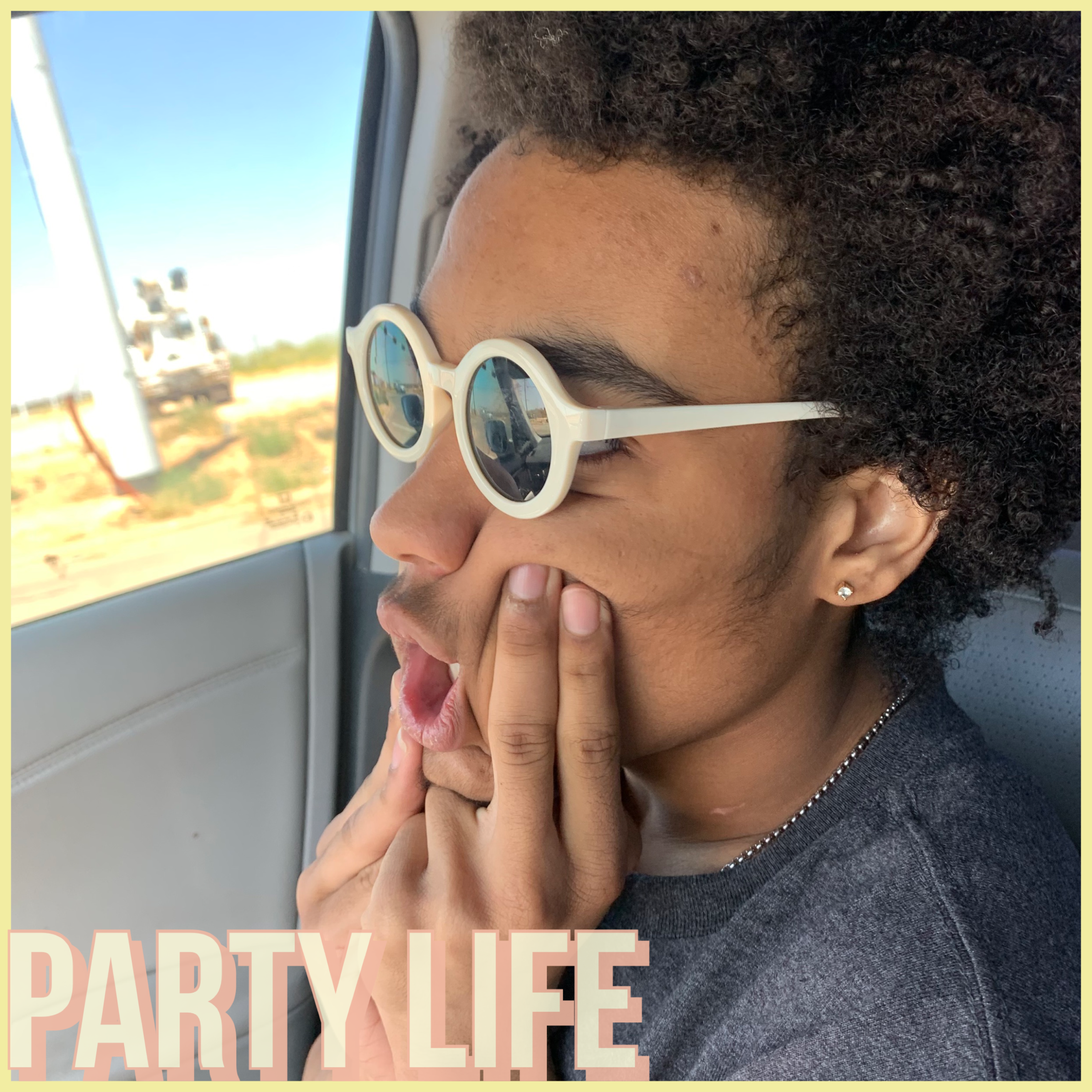 Party Life artwork