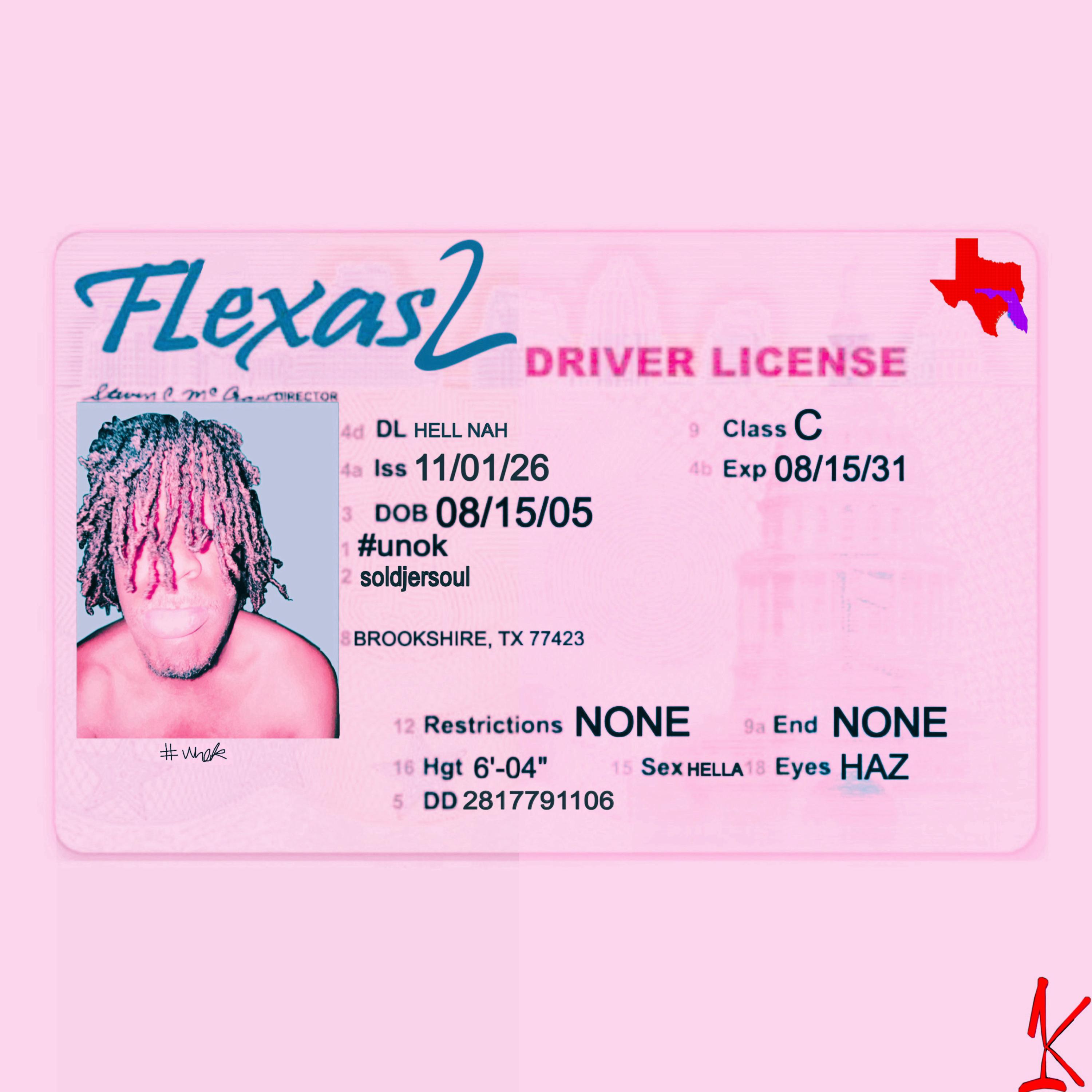 flexas2 by unok cover art