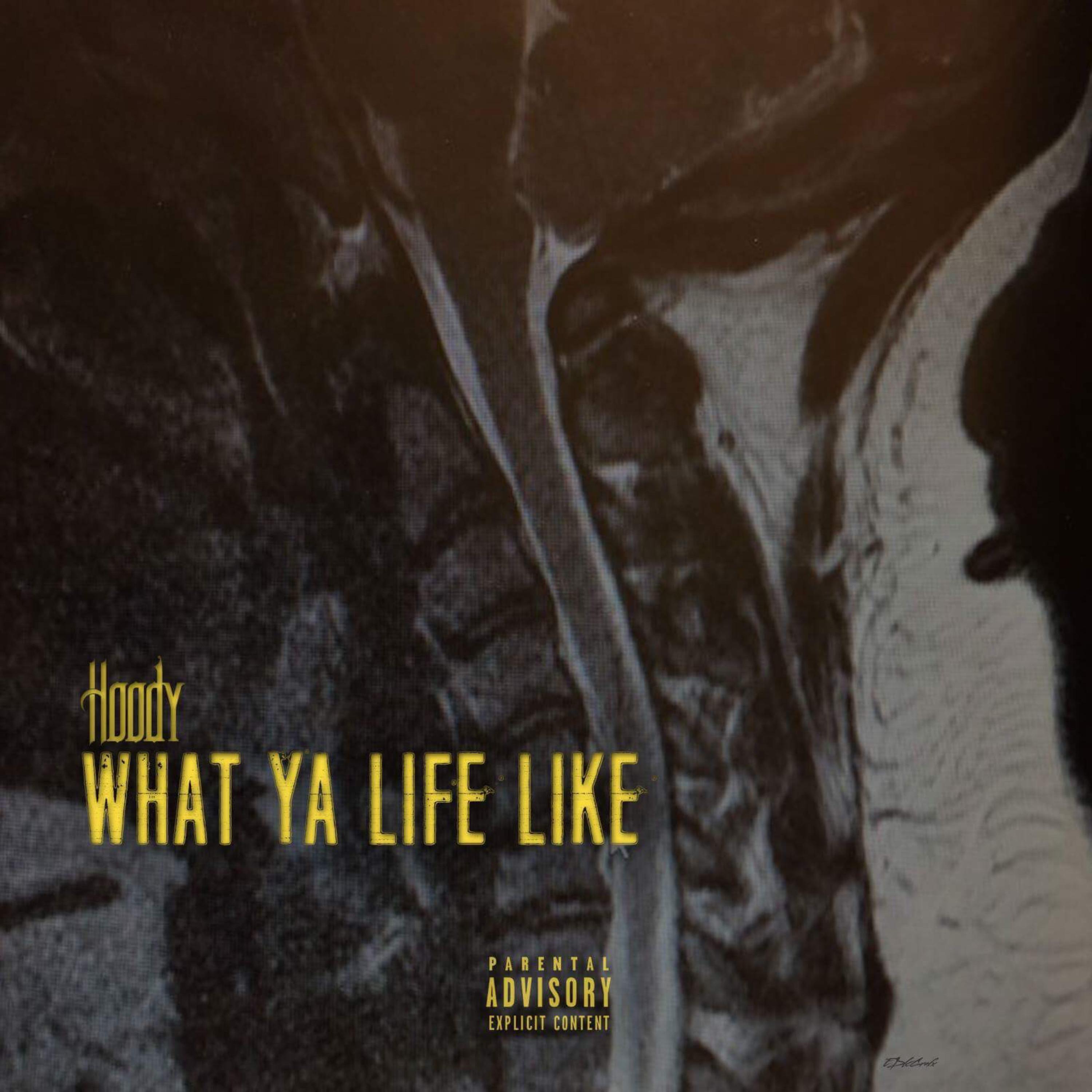 What Ya Life Like artwork