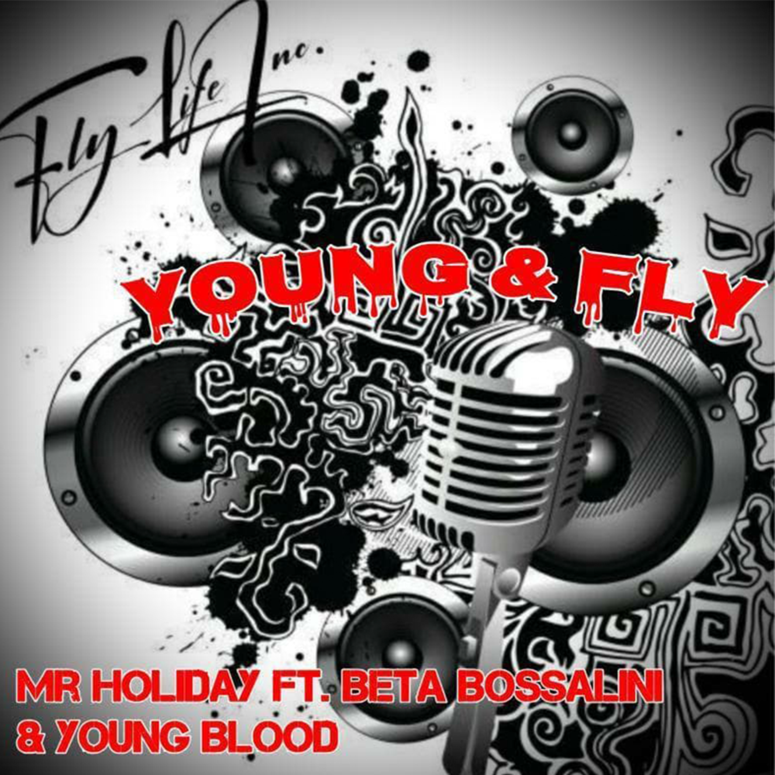 Young & Fly artwork