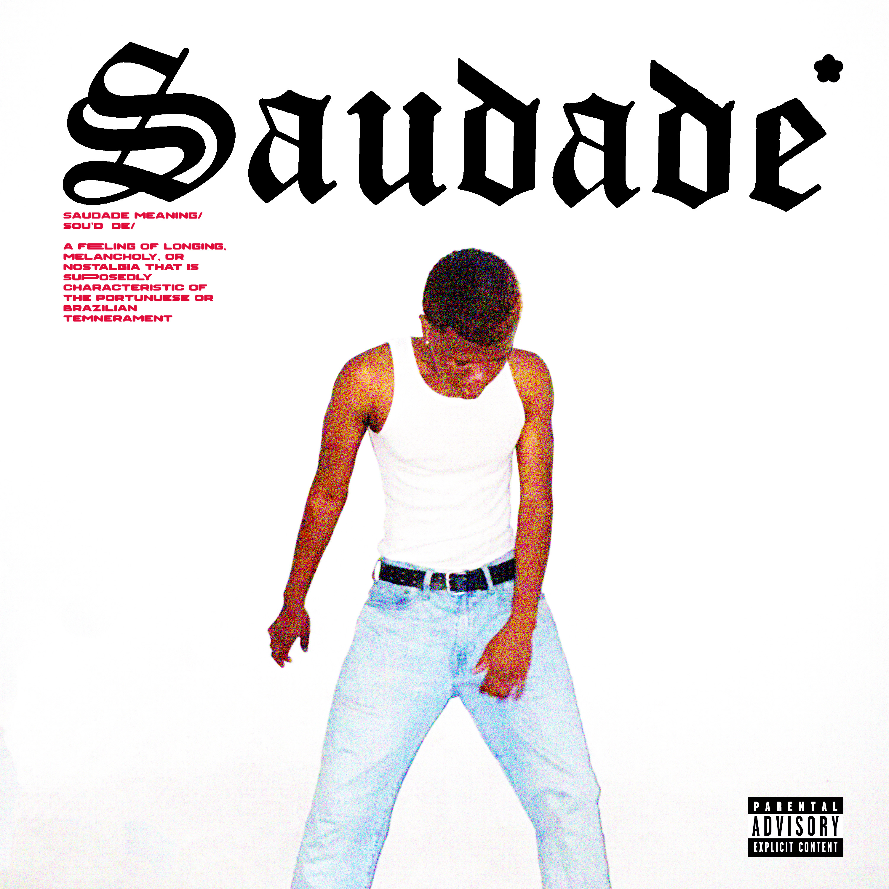 Saudade* artwork