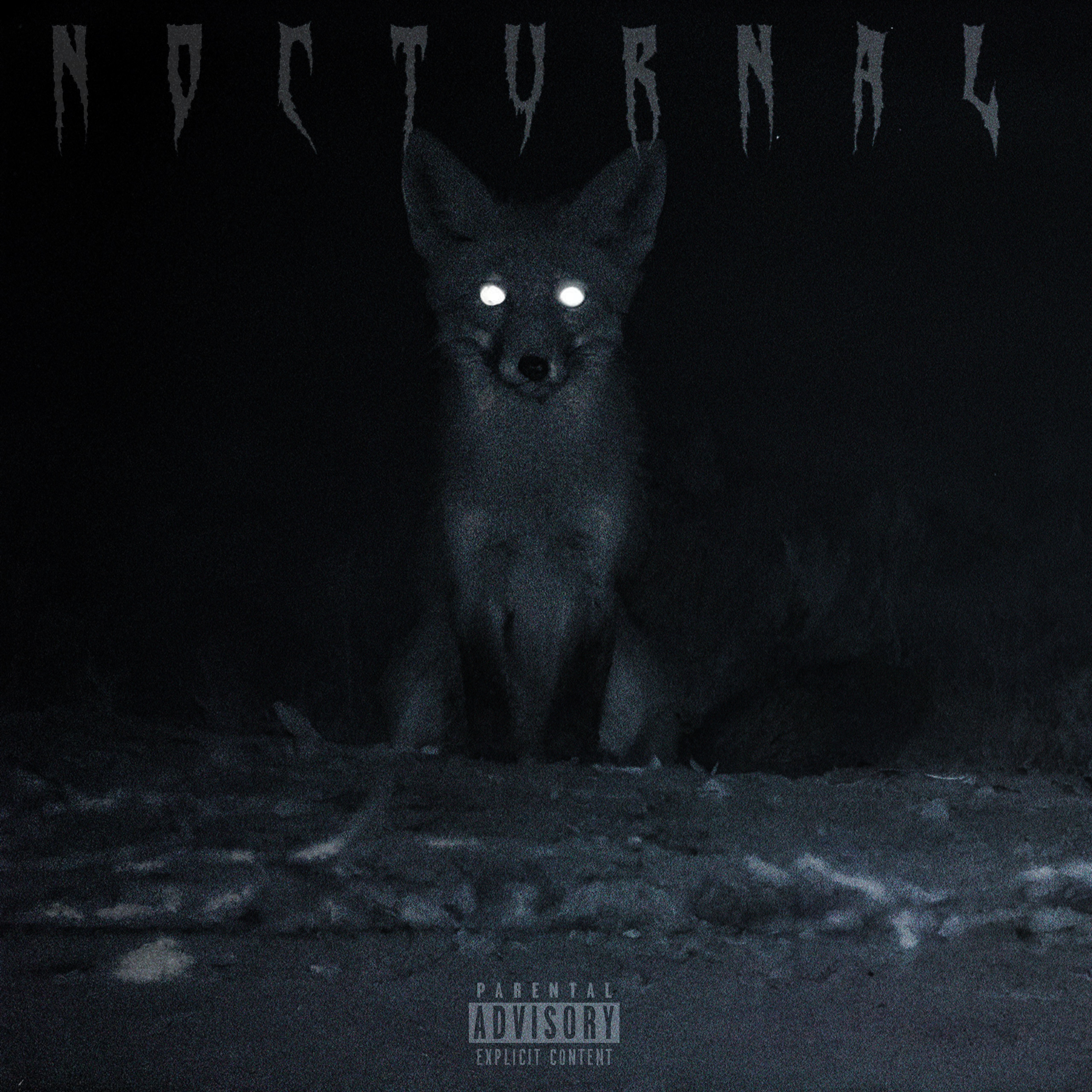 Nocturnal artwork