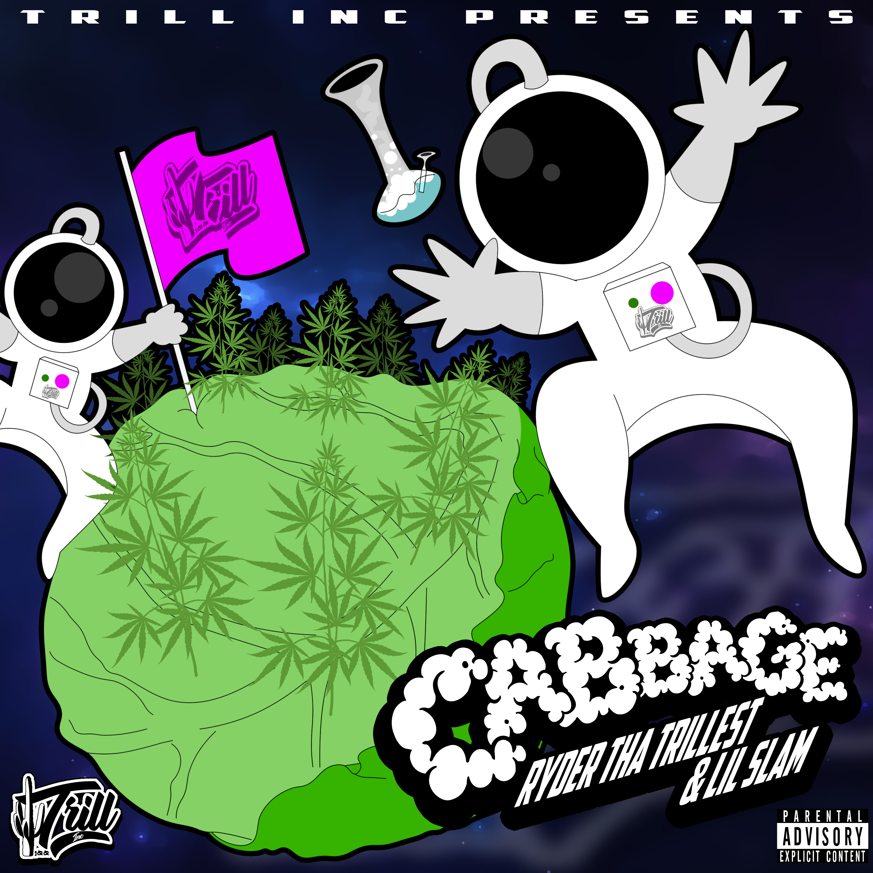 Cabbage artwork