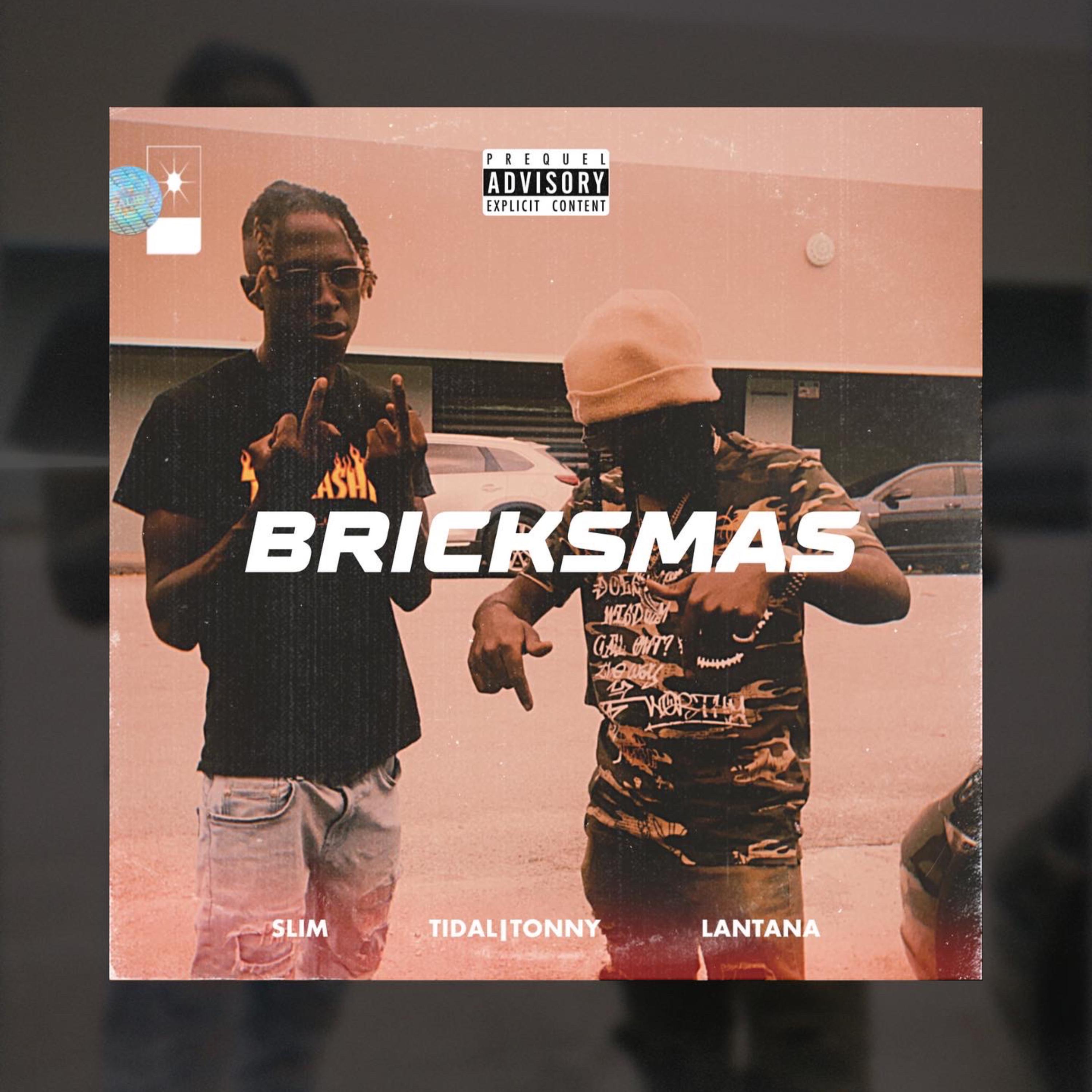 BRICKSMAS artwork
